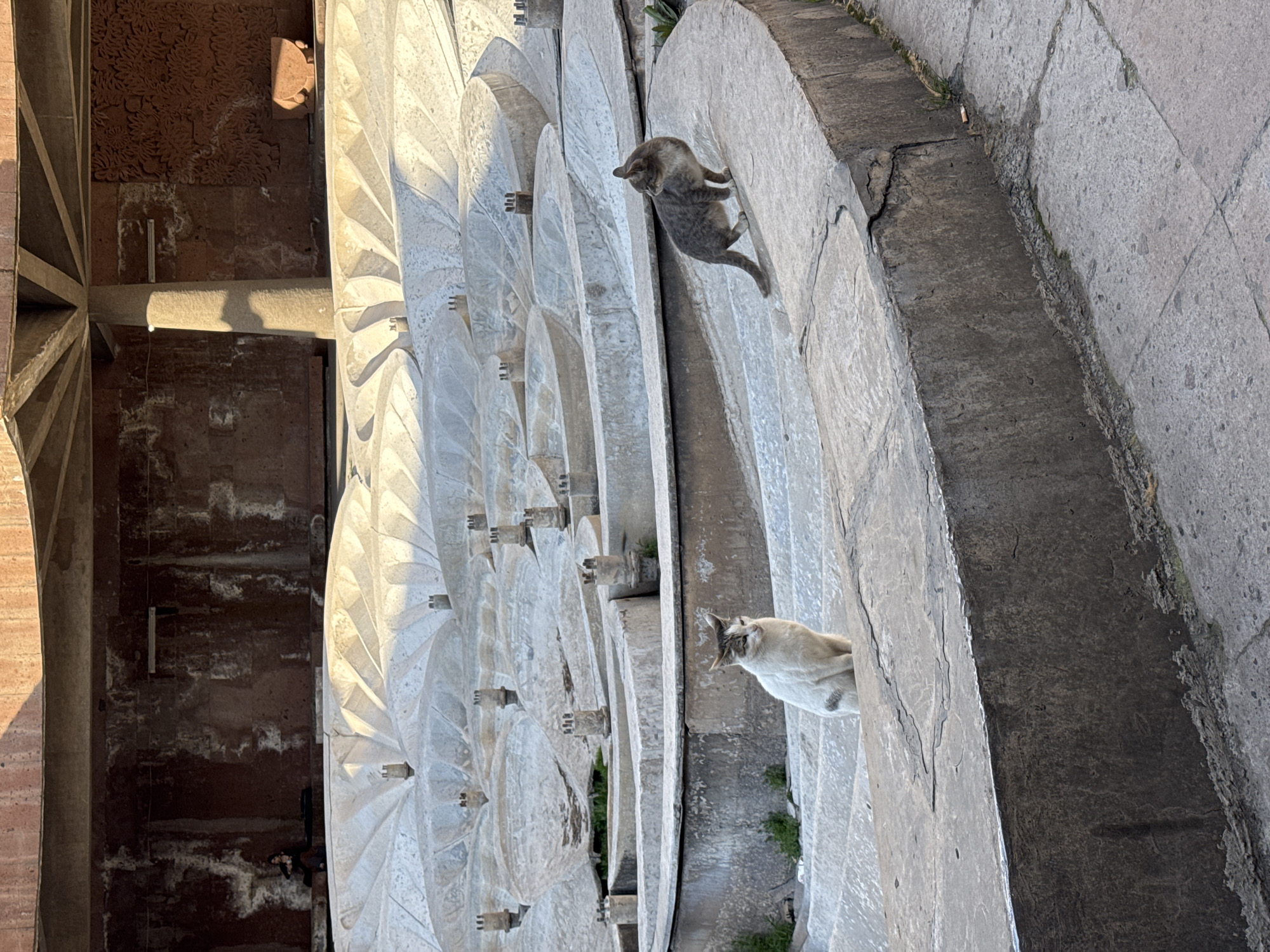Cats spotted lounging at Yerevan's Cascade complex