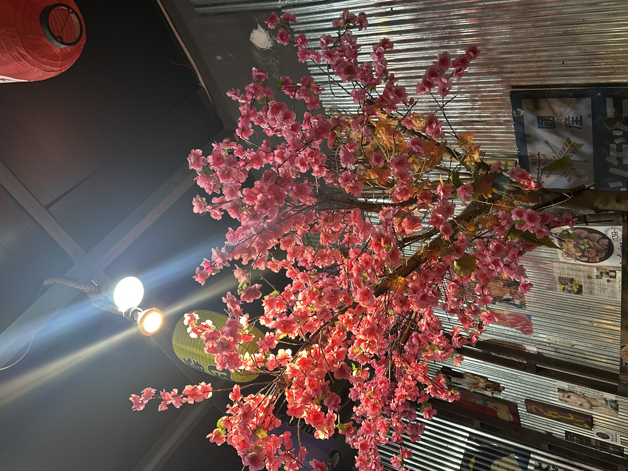 Japanese dining experience documented in Pattaya restaurant