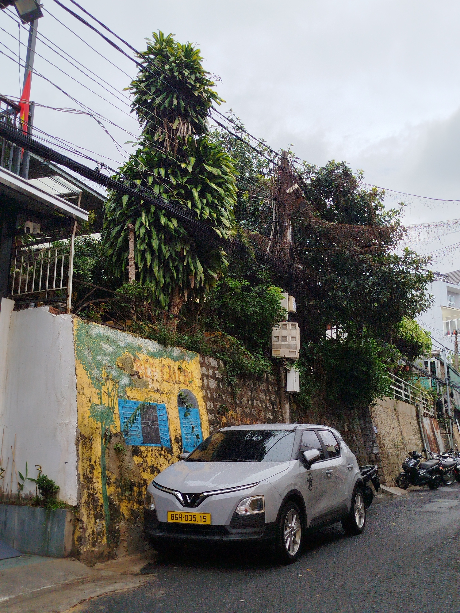 Morning life documented across Da Lat, Vietnam streets