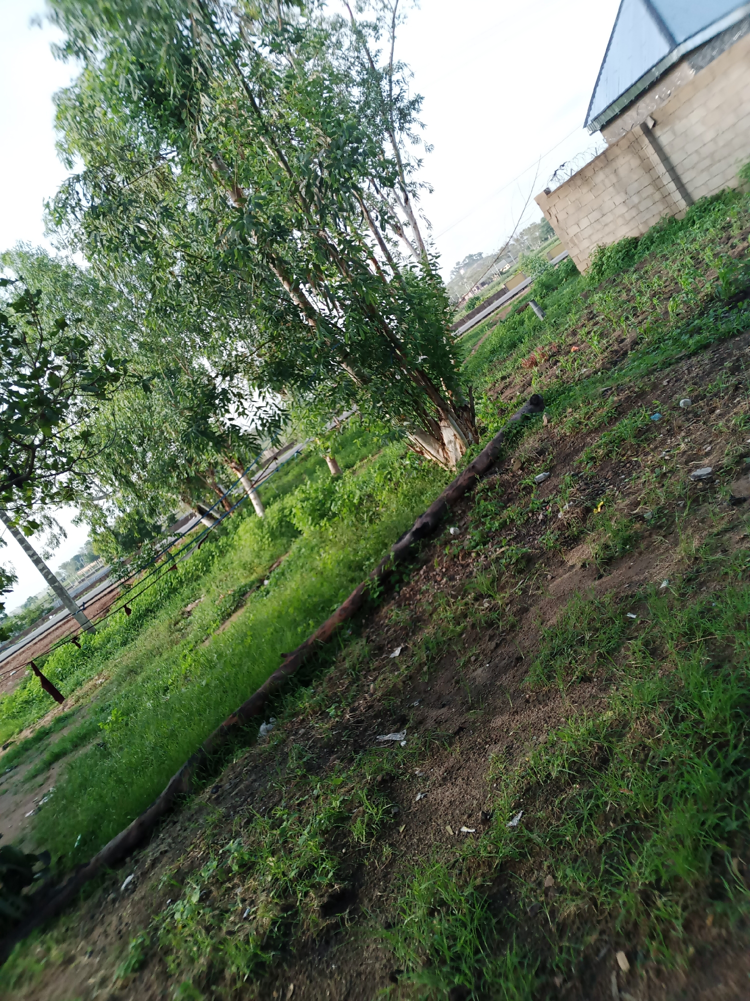 Morning scenes across Jauro Yinu and Jalingo, Nigeria