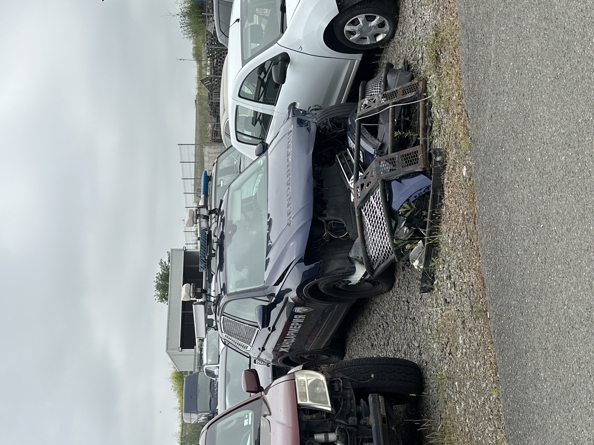 Witness documents impound lot, insect at same location