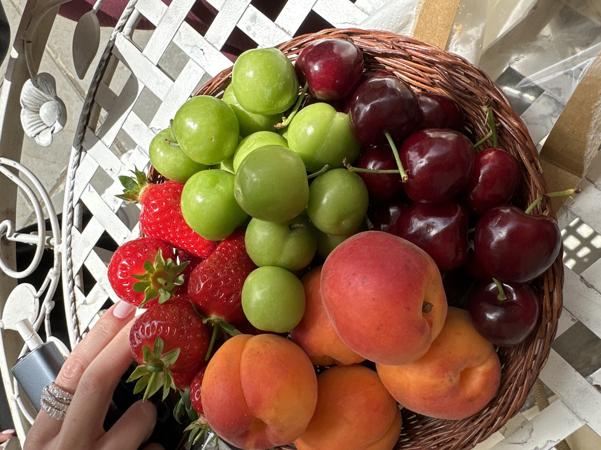 Fresh fruit basket documented in Sofia morning display