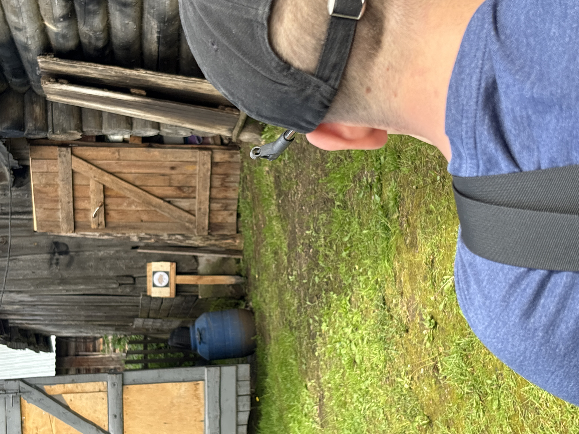Dacha day in rural Russia: shooting targets, cats, open skies