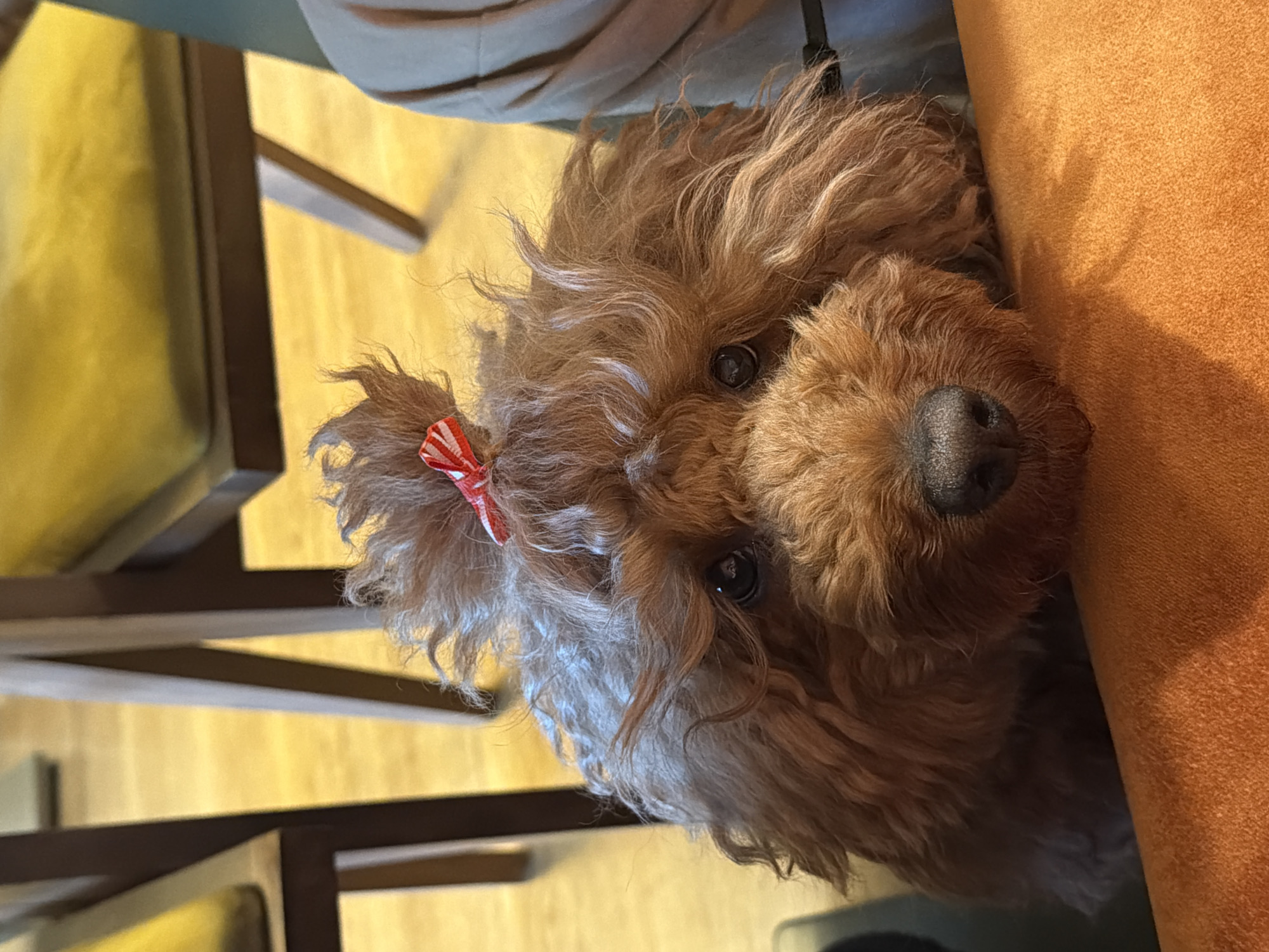 Morning life in Boreti: breakfast, fitness, dog walks, scenic views