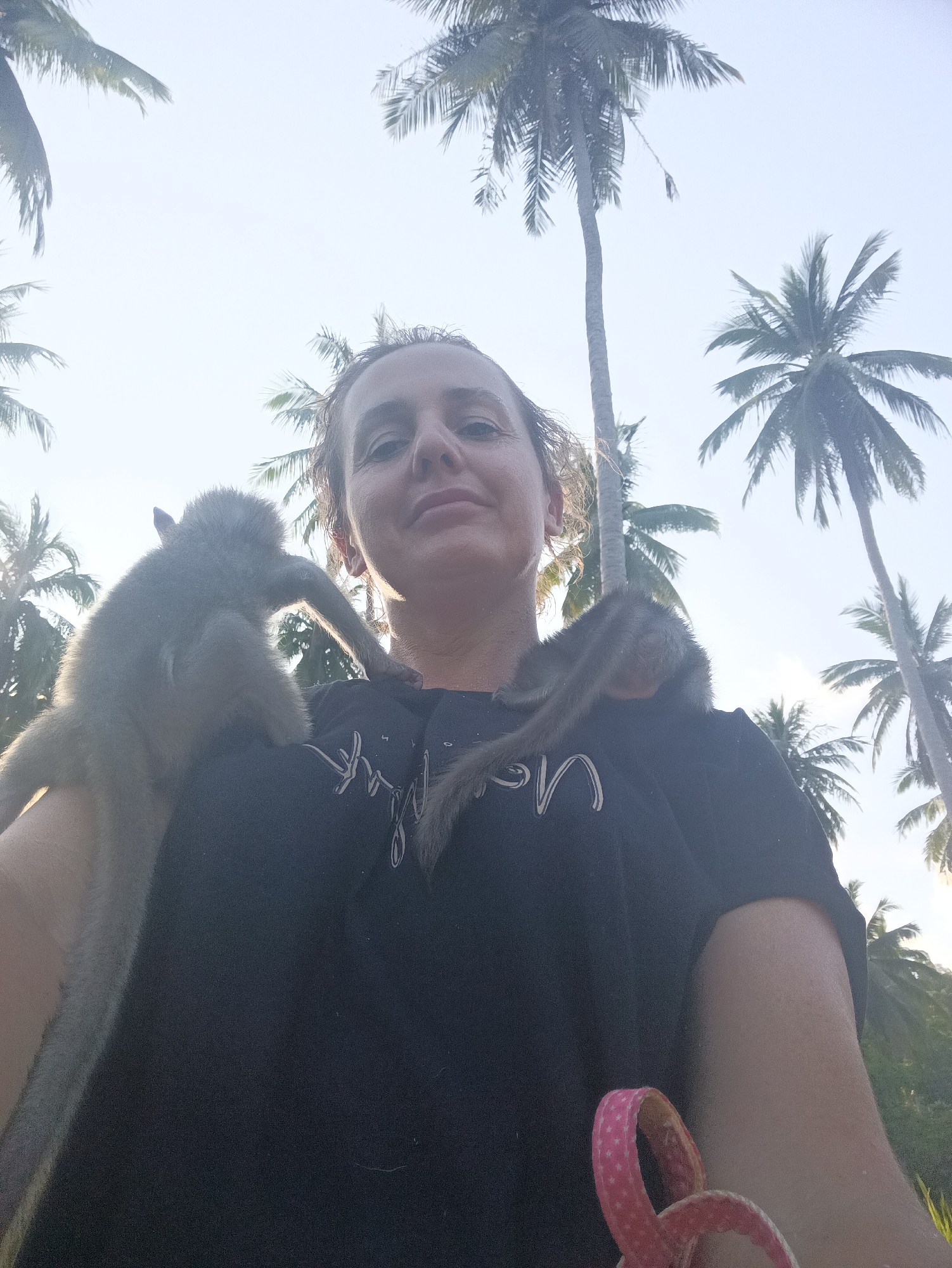 Tourist documents wildlife encounters during Thai jungle walk