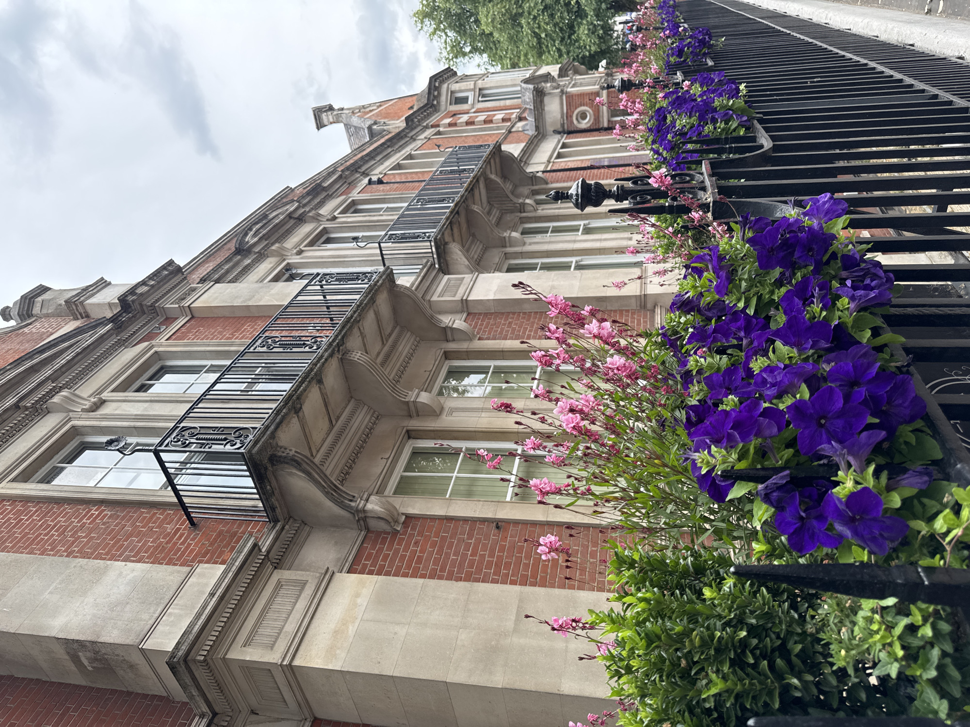 Afternoon window-shopping through Chelsea's design and homeware stores