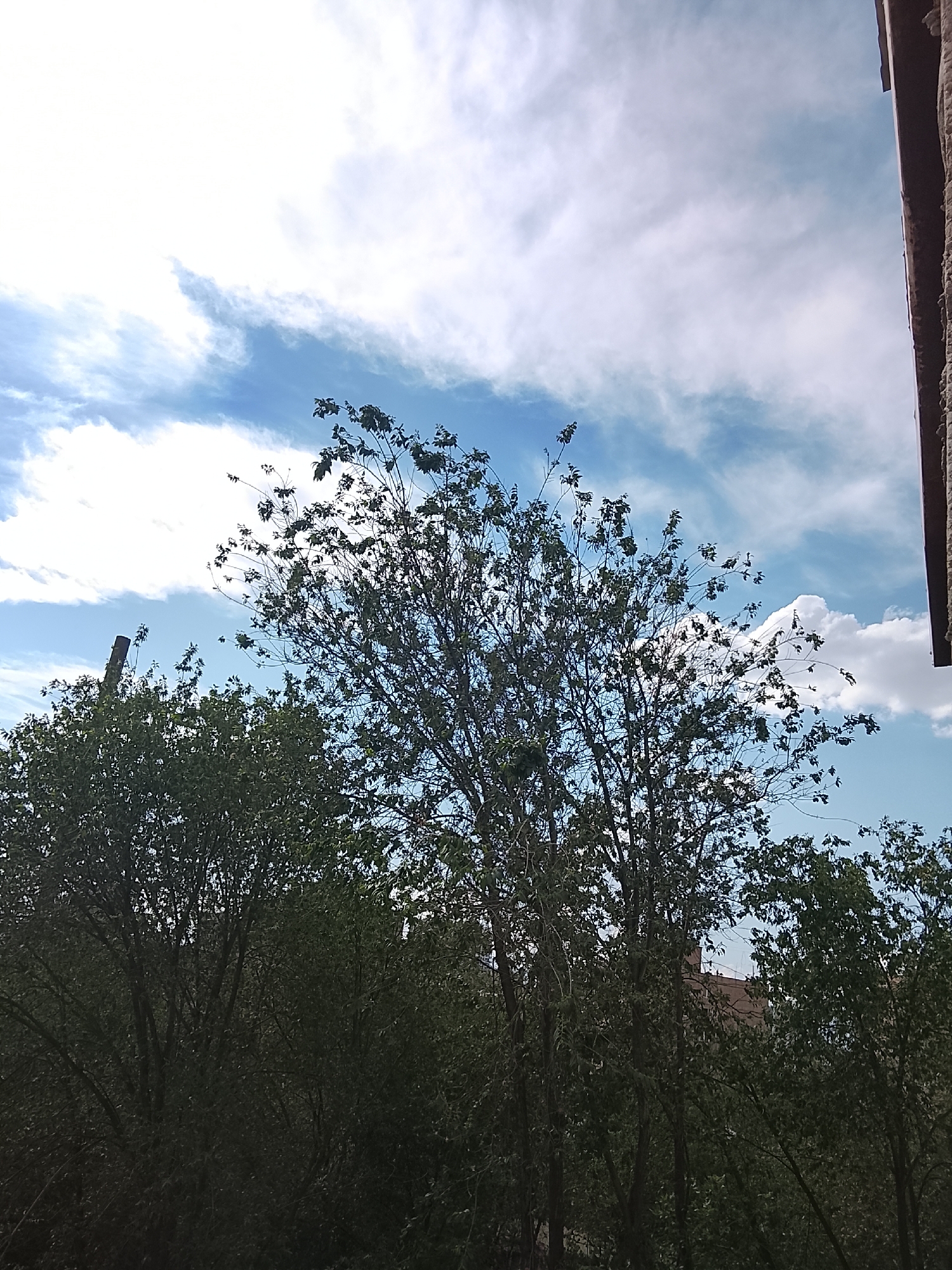 Dramatic skies observed over Yerevan urban landscape