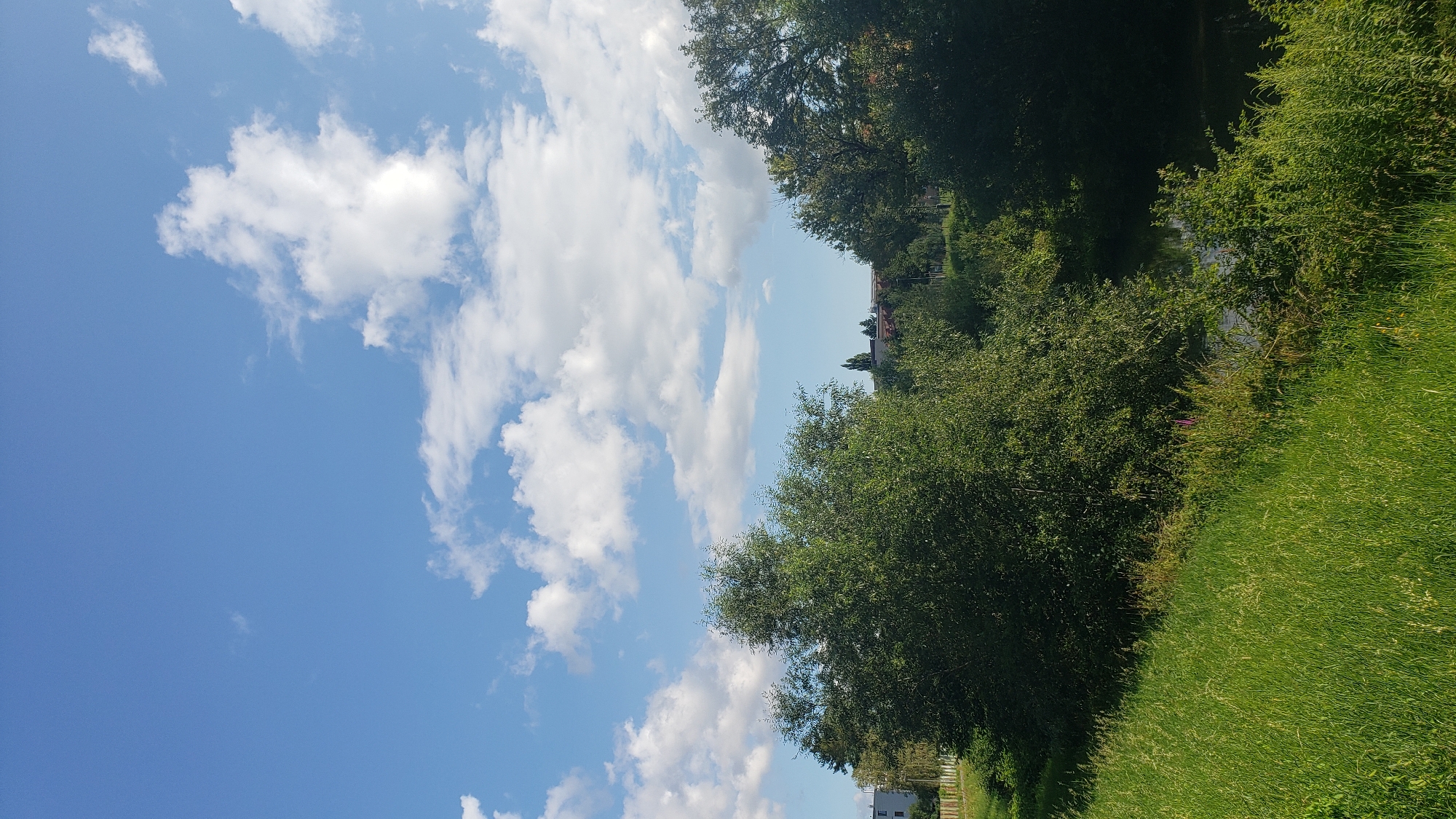 Summer morning across Prešov — parks, rivers, and city streets