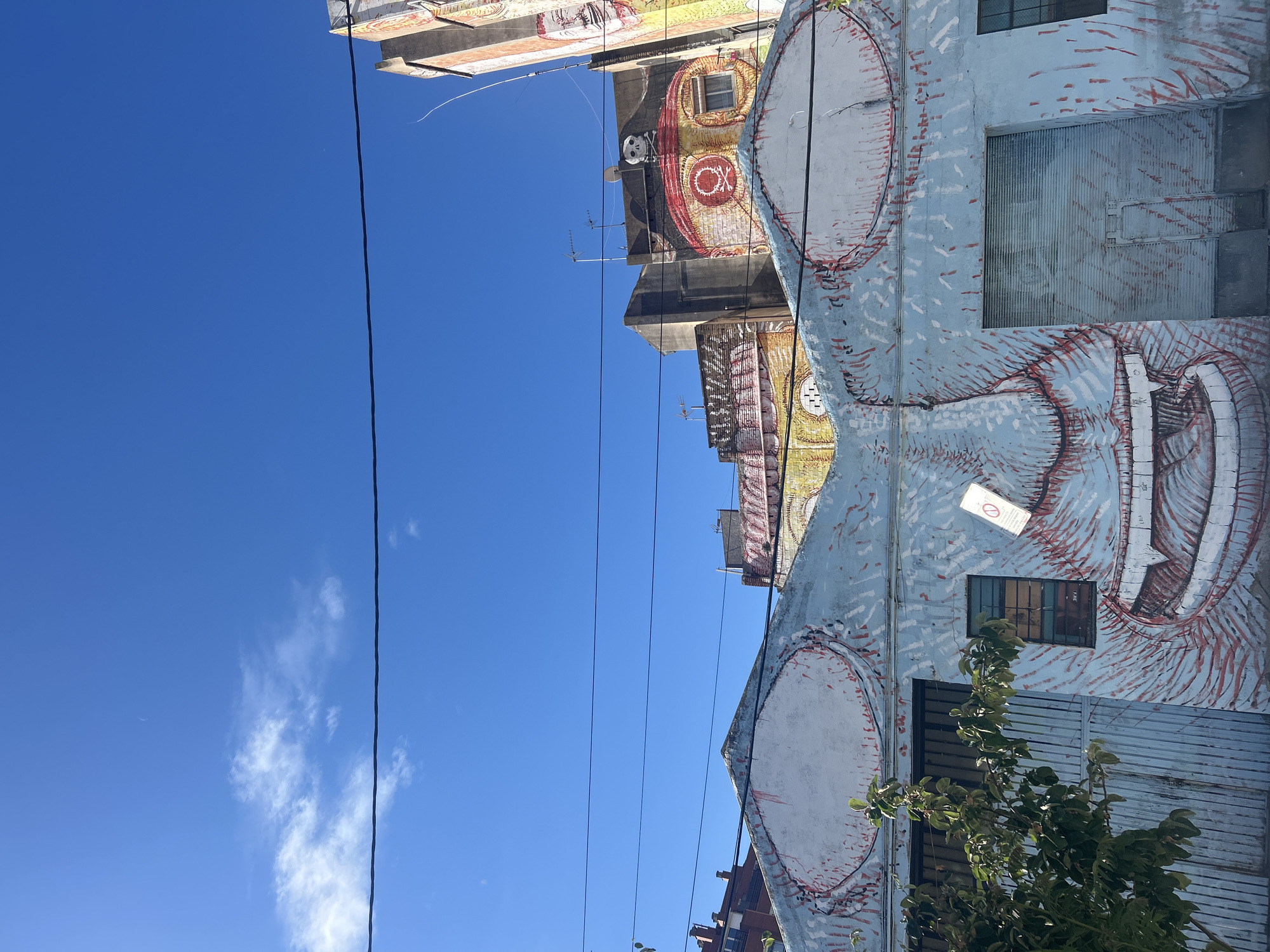 Street art murals documented across Barcelona neighborhoods