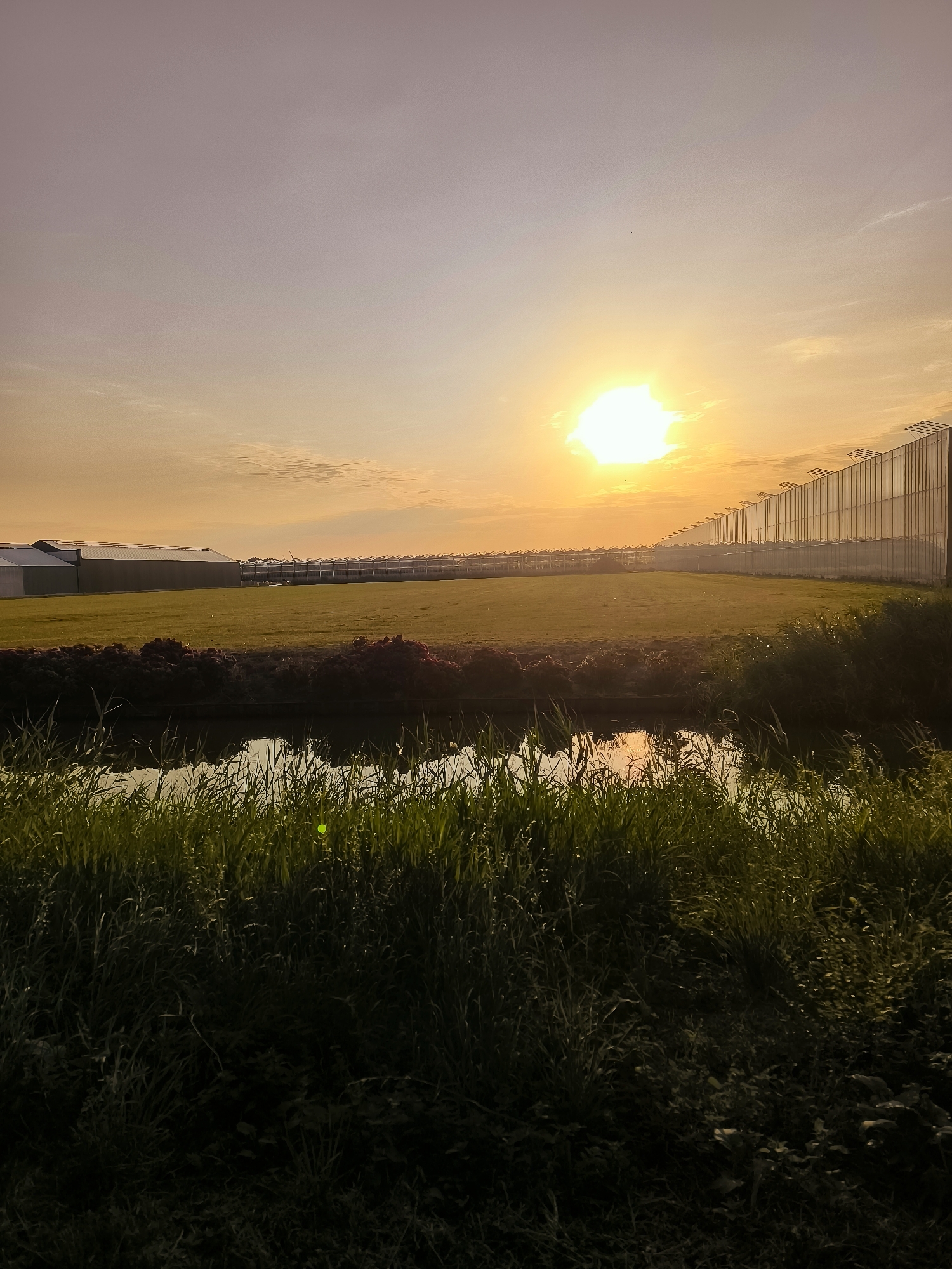 Early morning greenhouse landscape in Wervershoof at golden hour