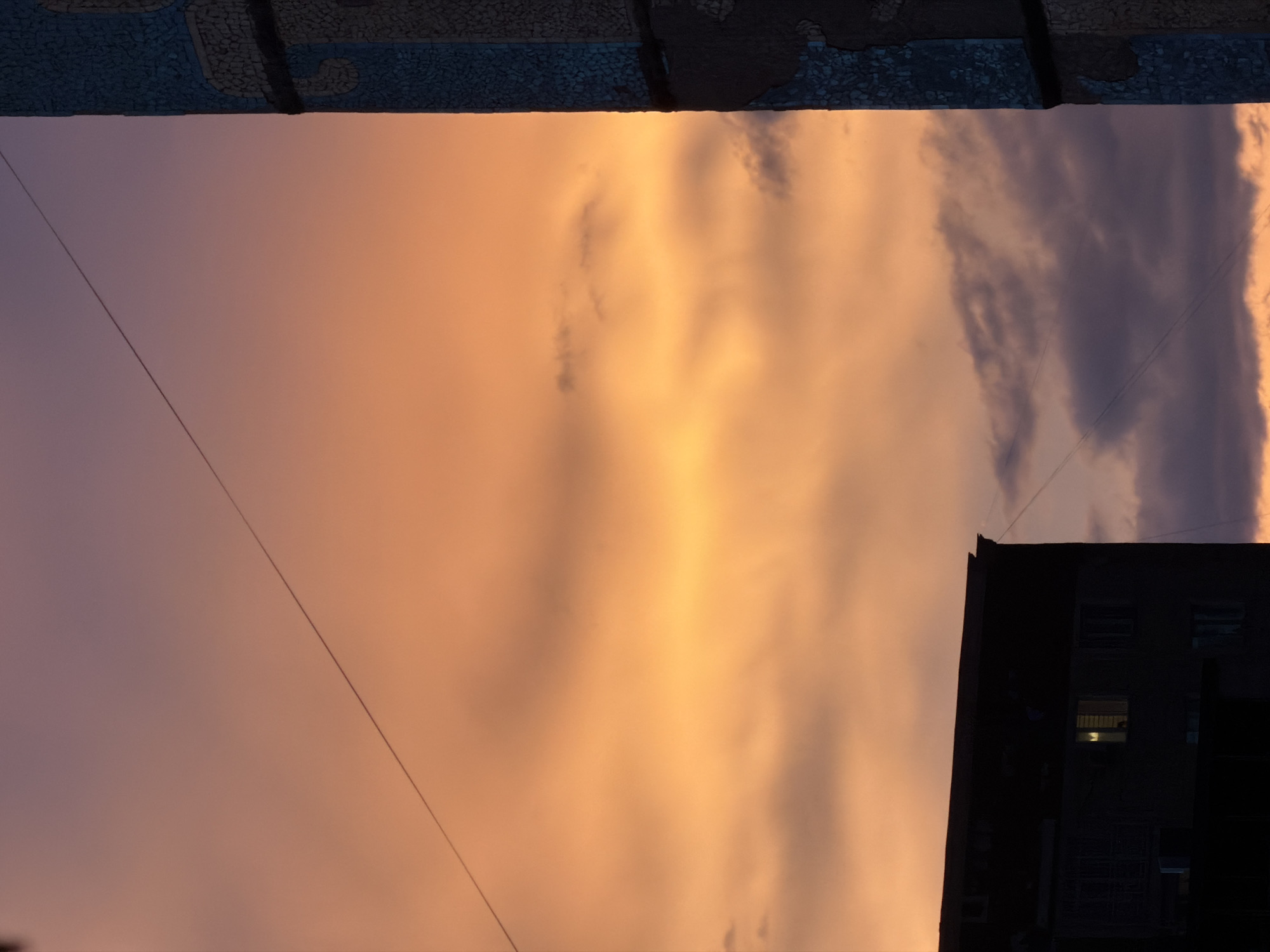 Twilight sky and flower petals observed in rainy Bishkek