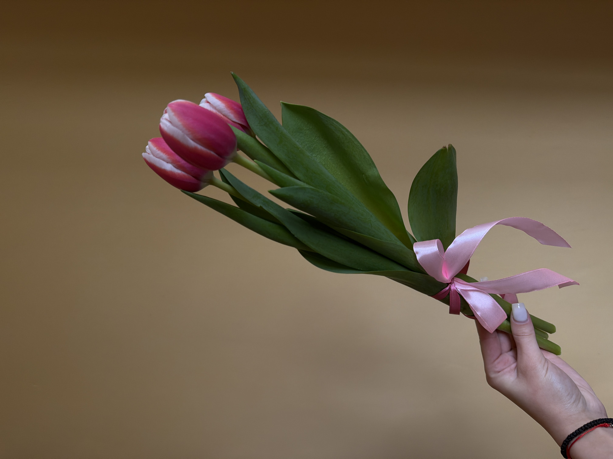 Hand holds three tulips photographed in Lovech, Bulgaria