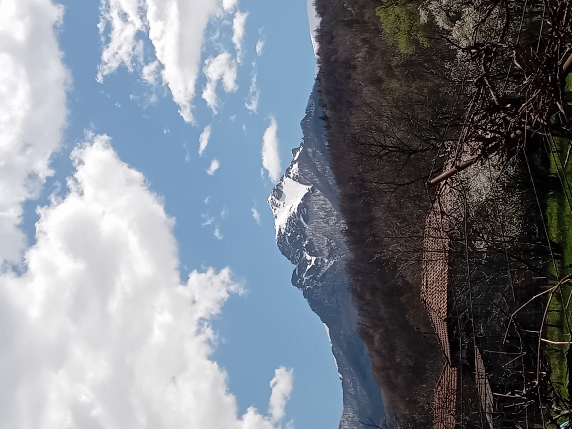 Spring landscape documentation captures mountain views and seasonal wildlife