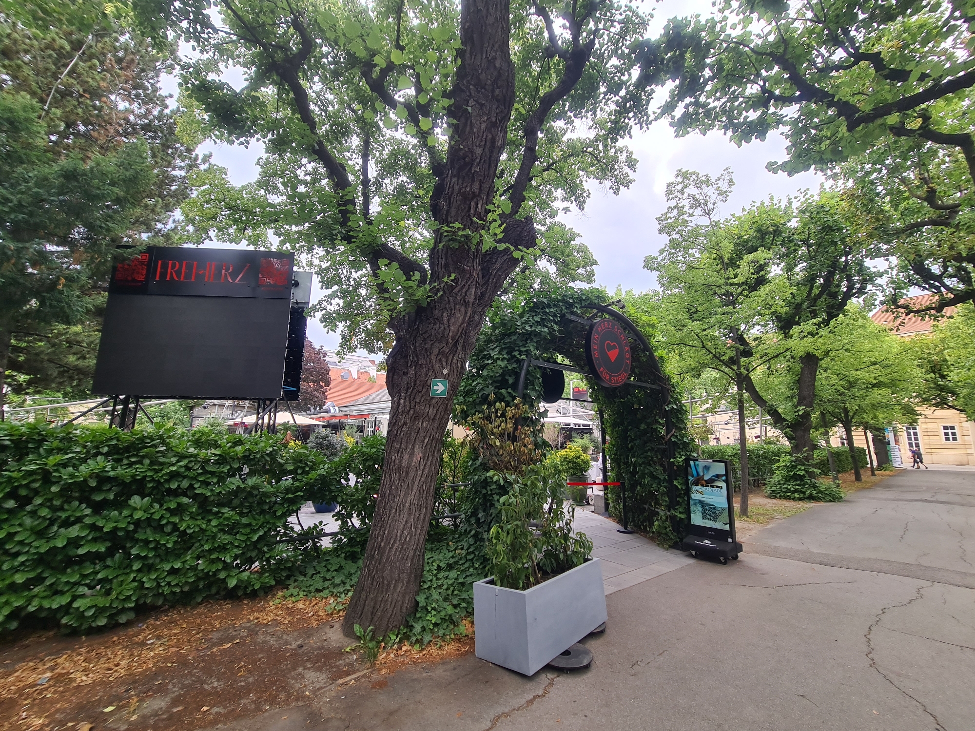 Morning walk through Vienna's medical campus and surrounding streets