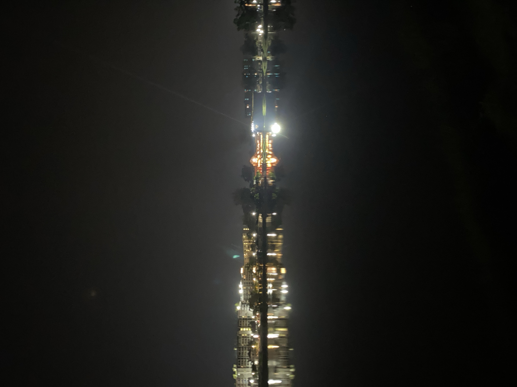 Geese gather by illuminated waterfront building in Thailand nighttime scene