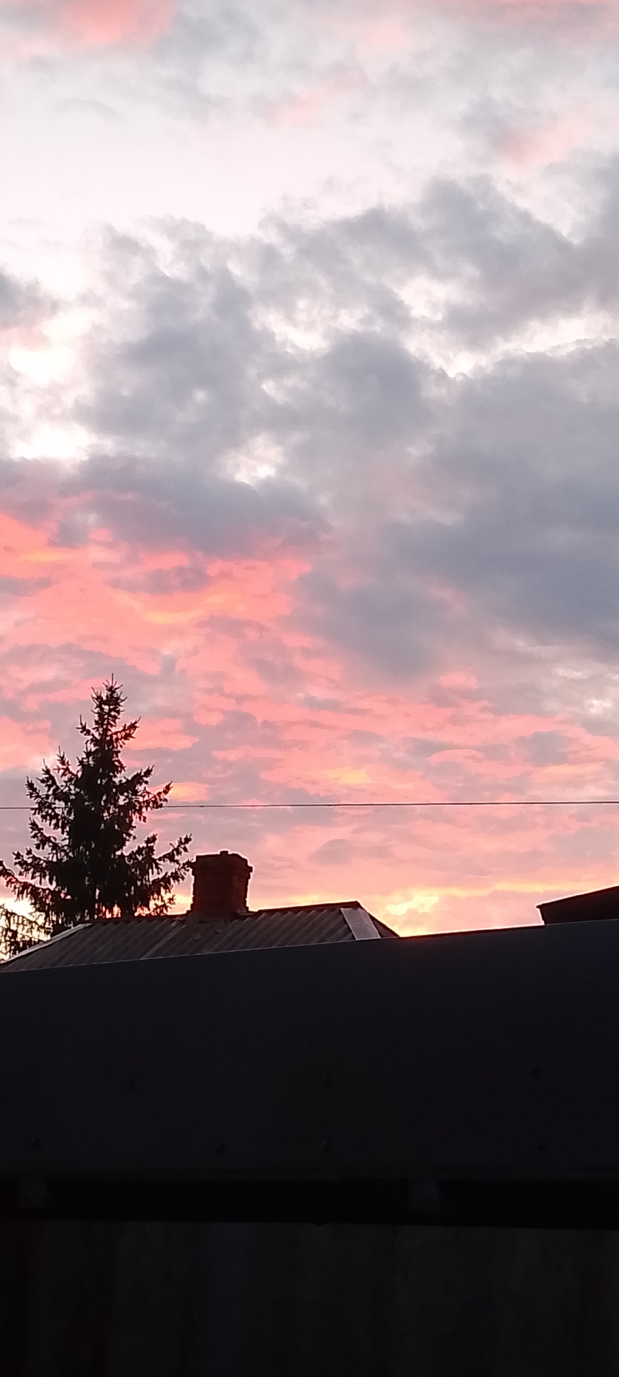 Dusk skies and cats at home in Belgorod