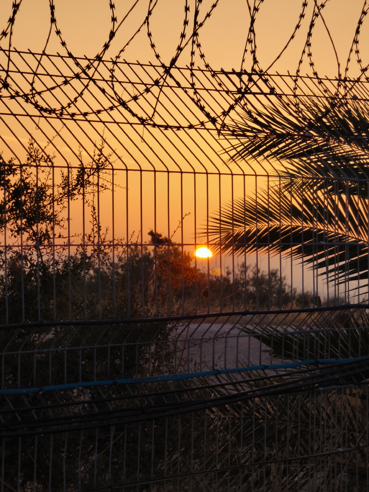 Sunset observed through fencing in Lachish Regional Council, Israel