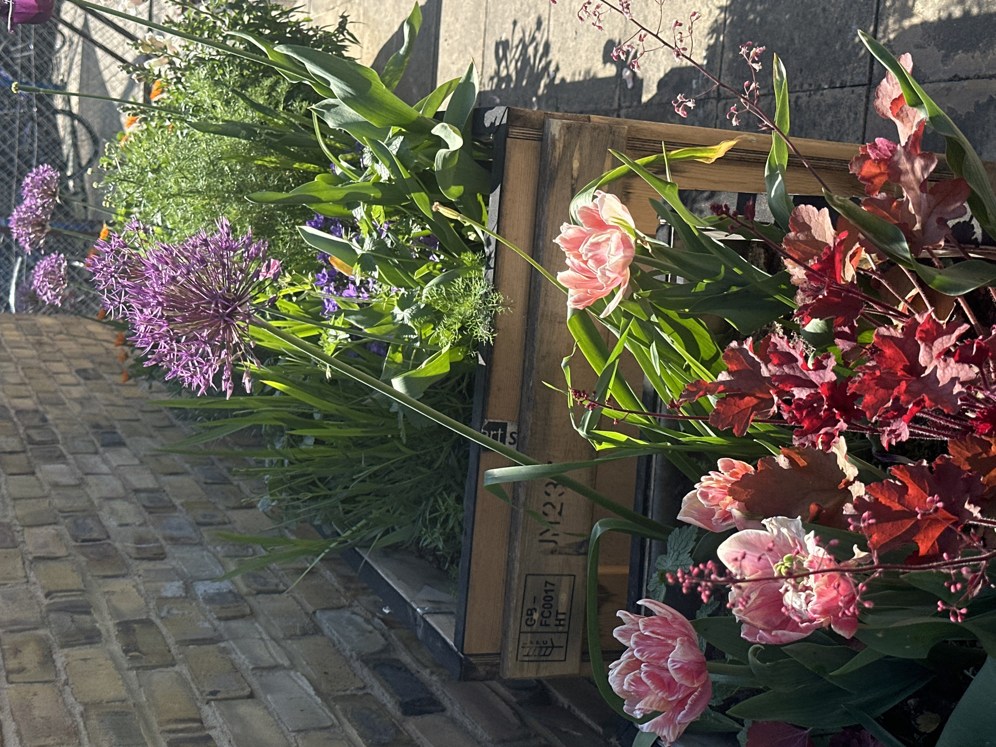 Pallet planter box spotted on London brick pavement