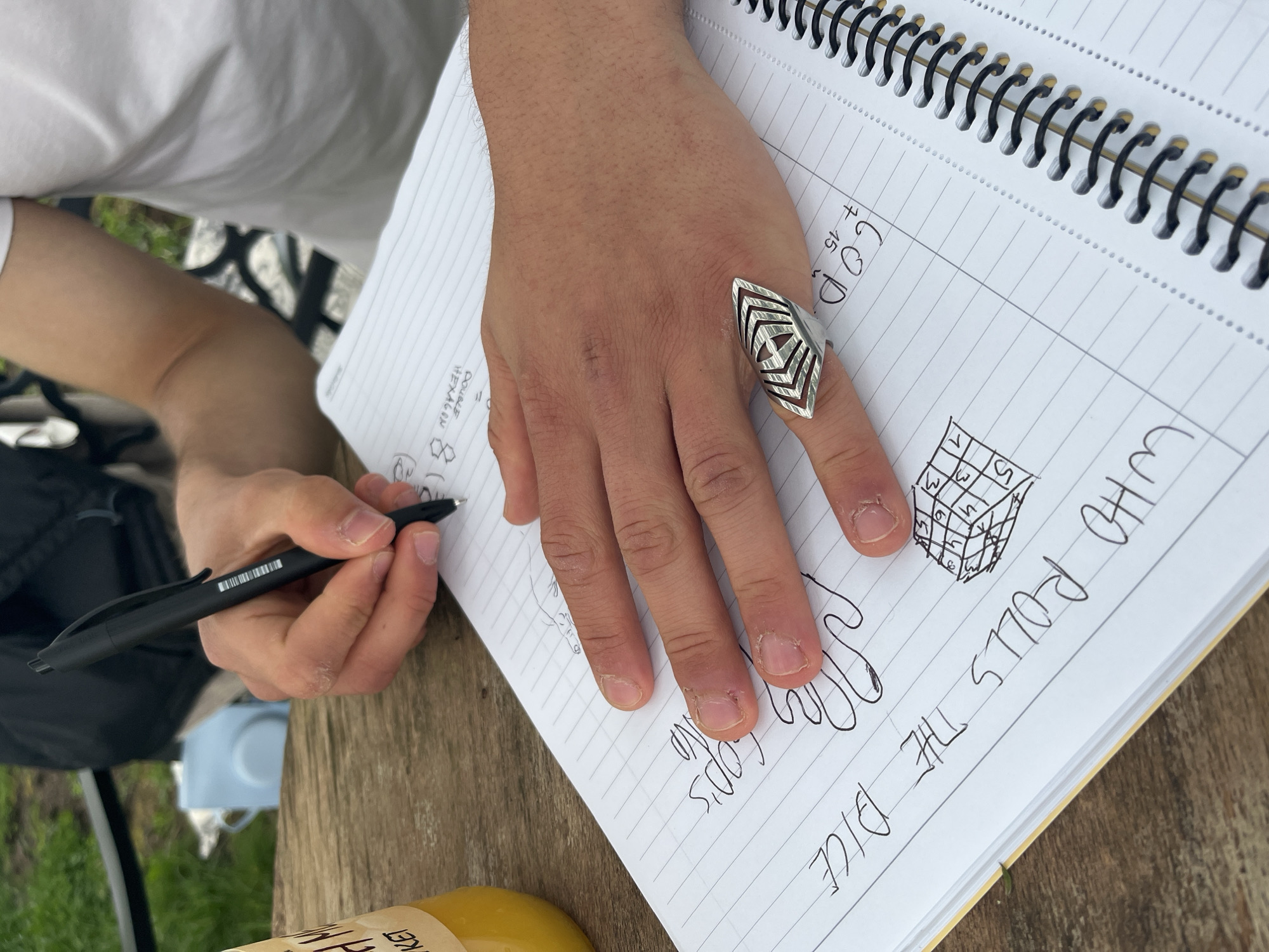 Writer sketches dice game notes beside blooming rose in Varna