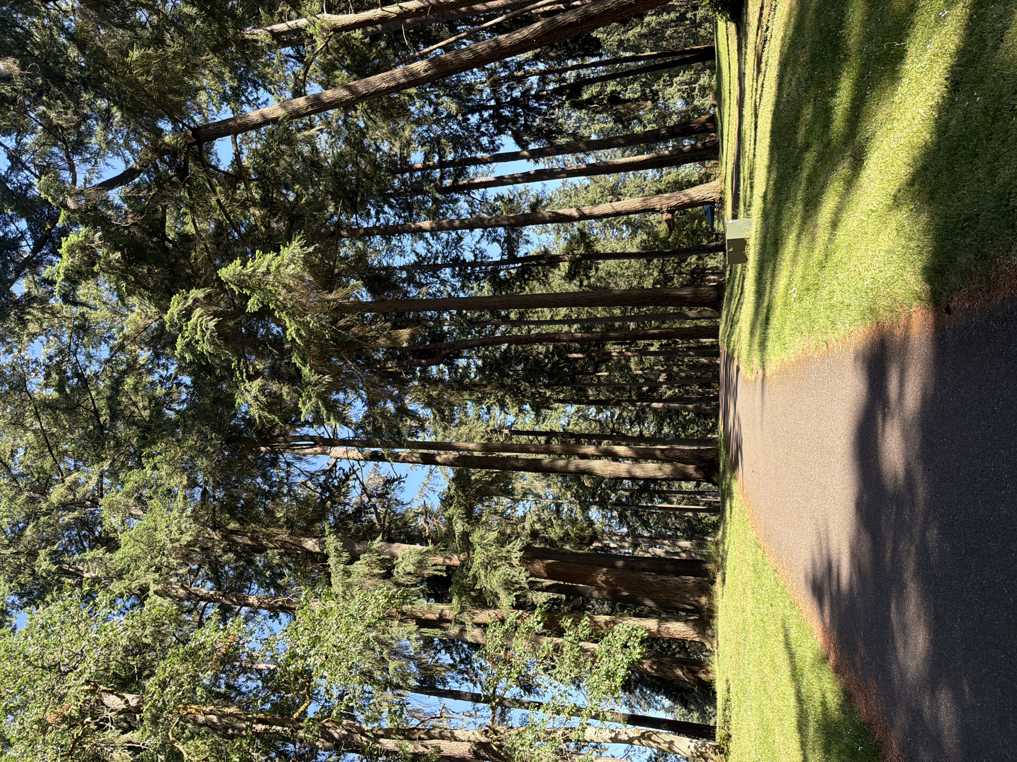 Painting session at a Spanaway park on a summer evening