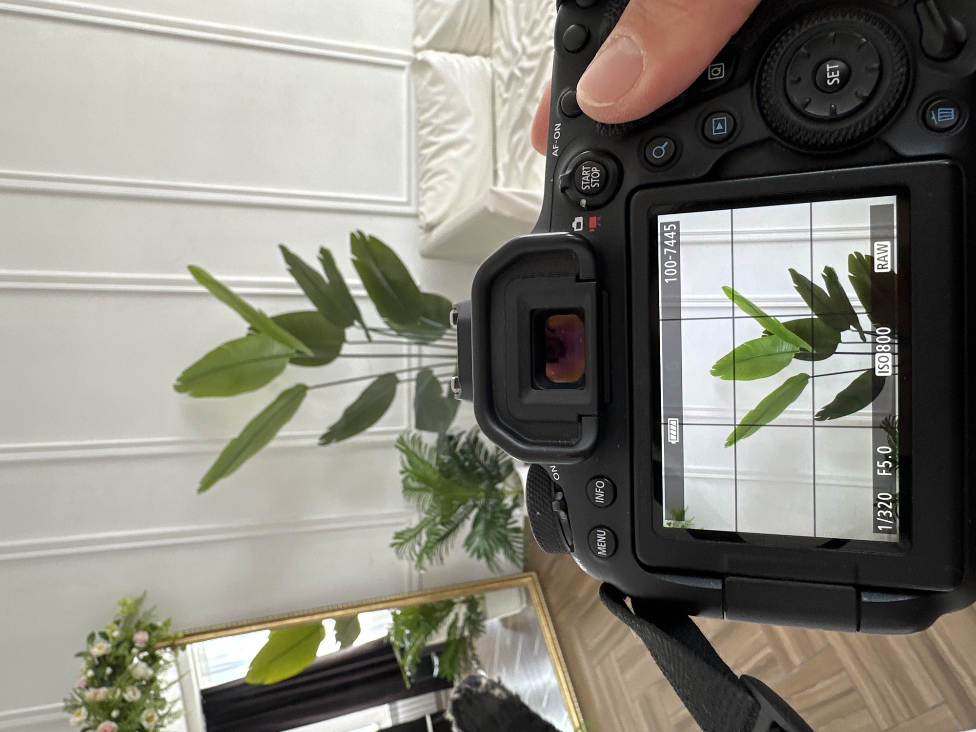Morning photography session captures domestic life in Chaikovsky, Russia