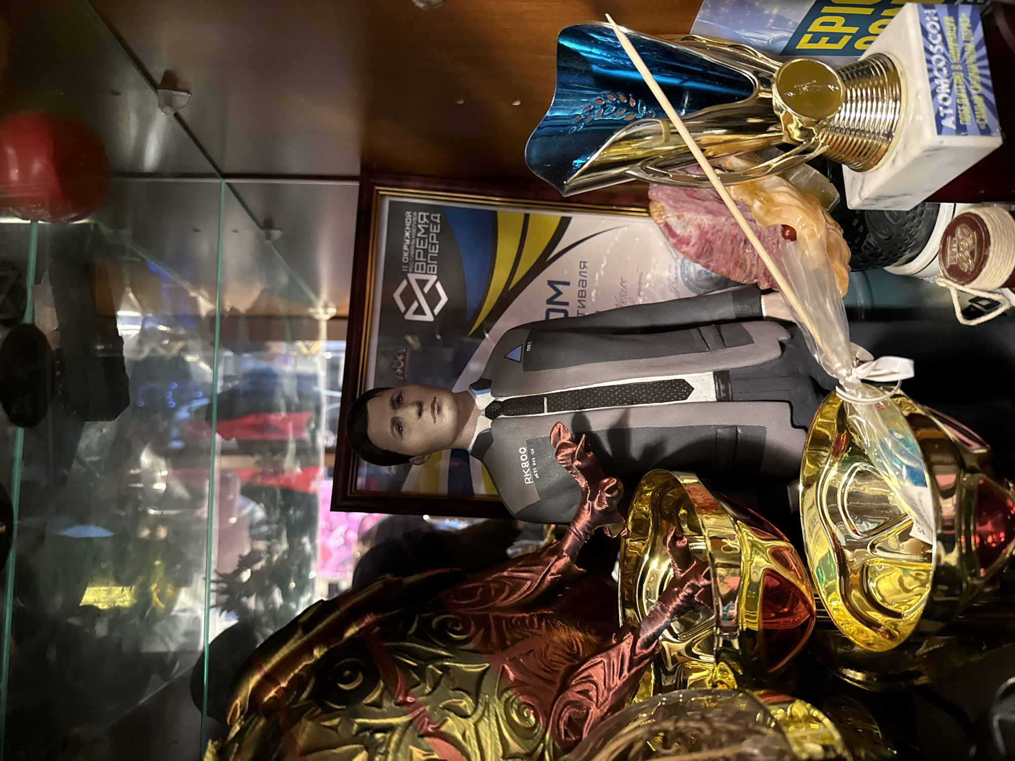 Moscow resident documents cluttered home filled with gaming collectibles, pets
