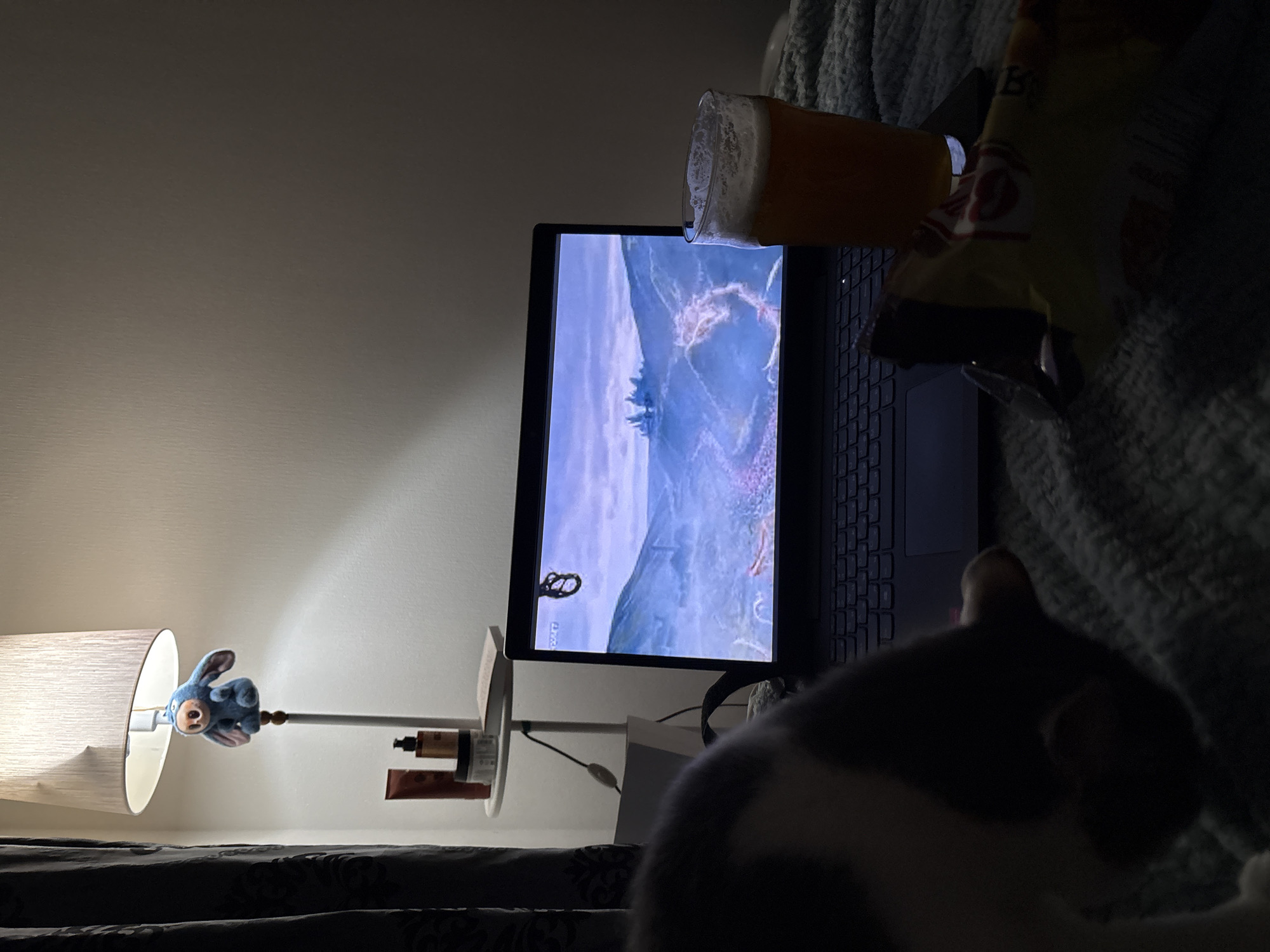 Indoor leisure time with laptop entertainment in Ust-Ilimsk
