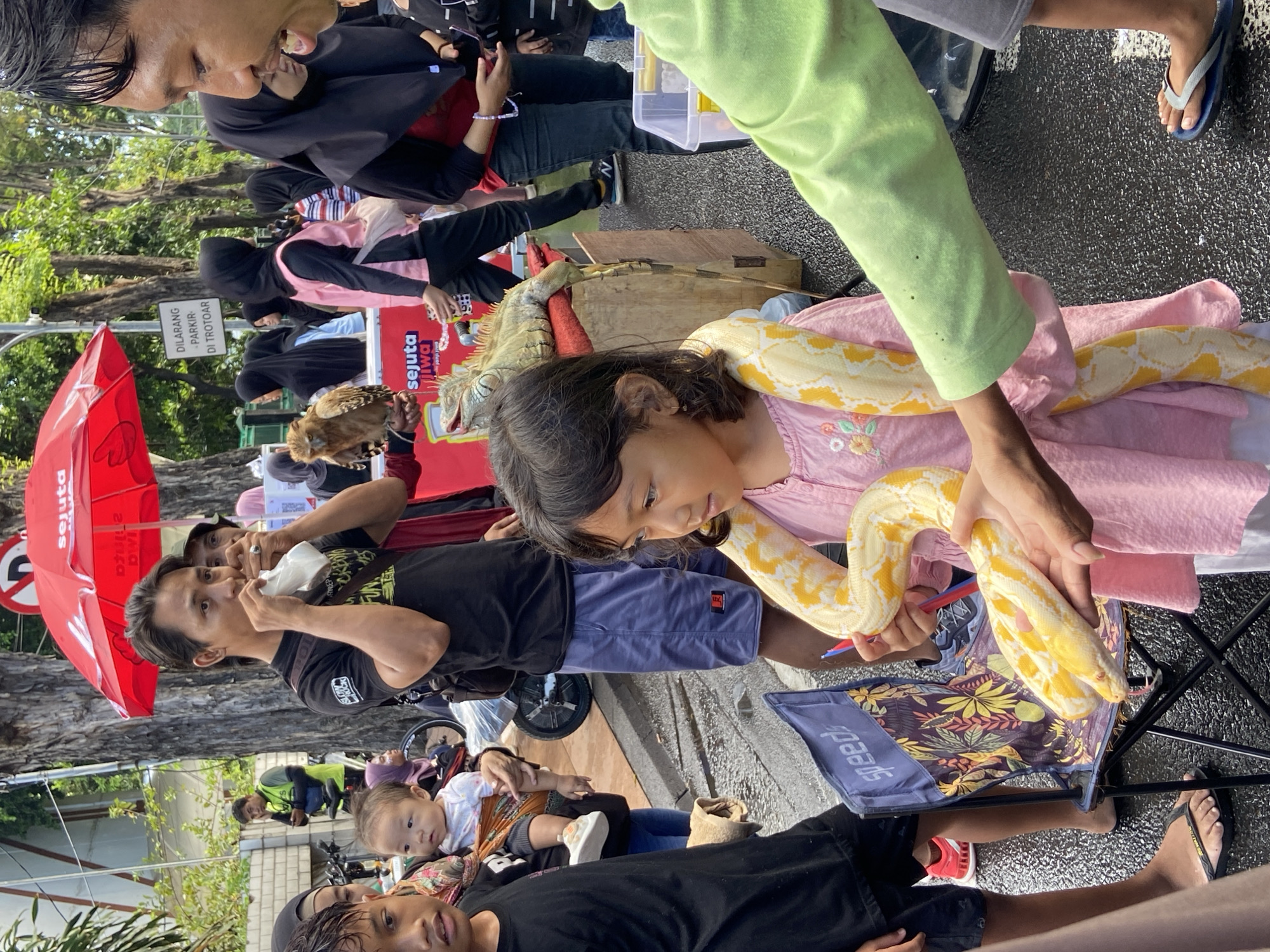 Costumed street performers entertain children with exotic animals in Surabaya
