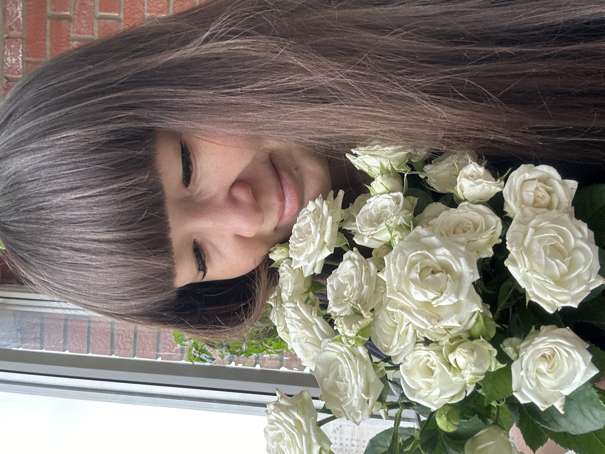 White roses, a Persian cat, and coffee on a summer evening