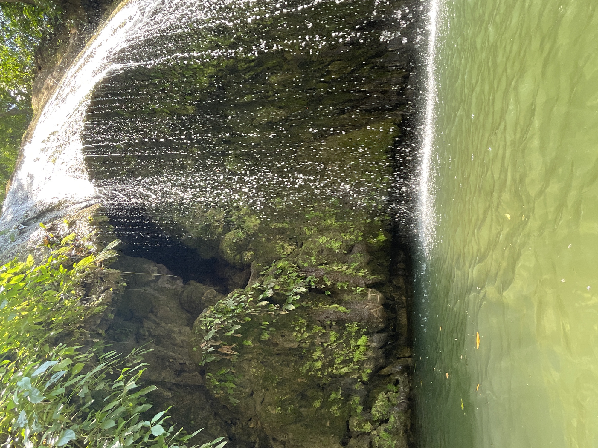 Waterfall observed in natural setting in Guanta, Venezuela