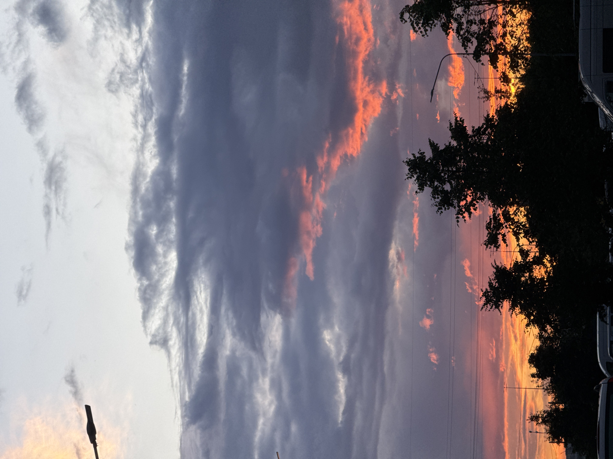 Sunset, pets, and street scenes in Shushary on a June evening