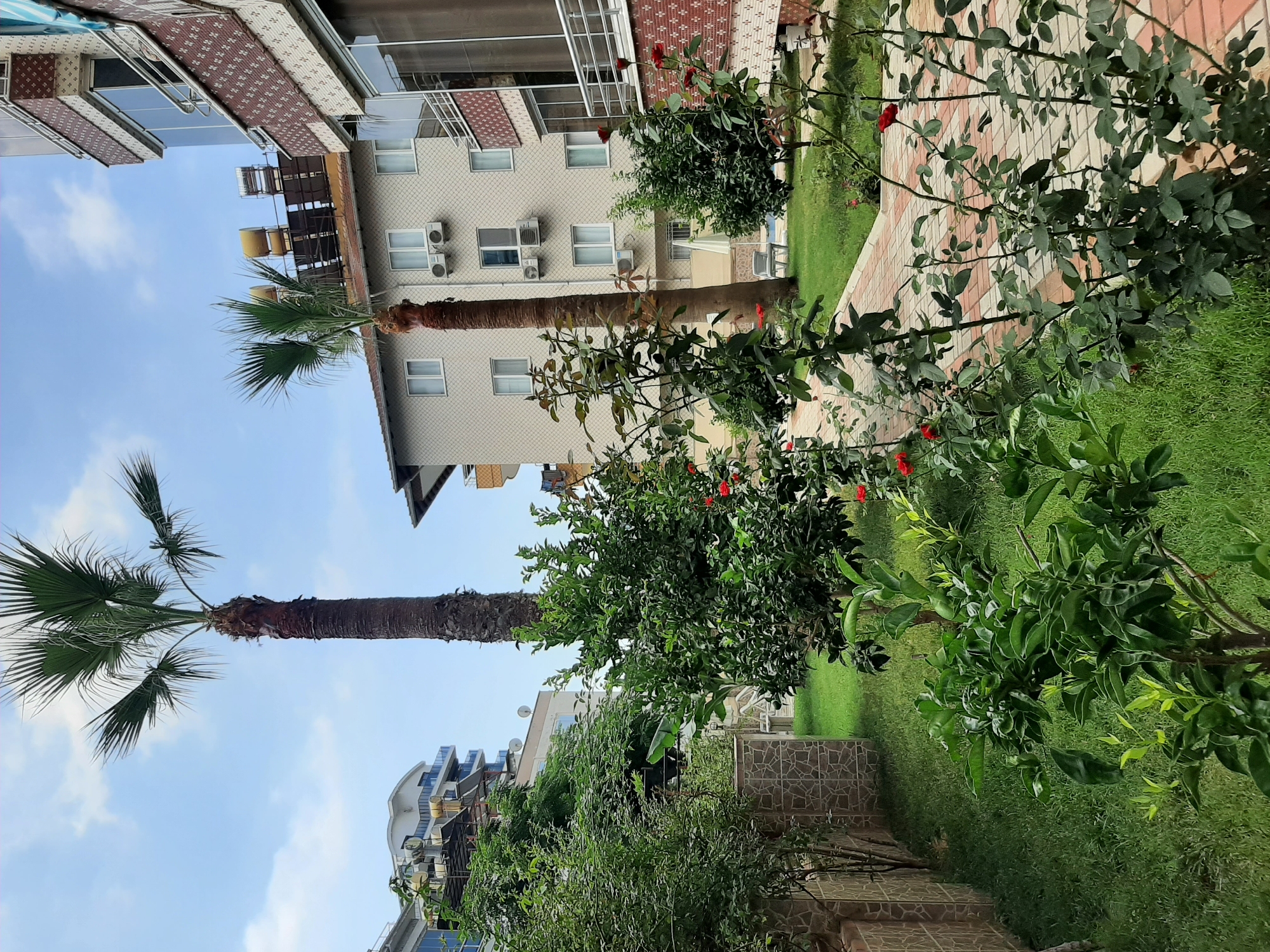 Morning snapshots around a residential complex in Alanya