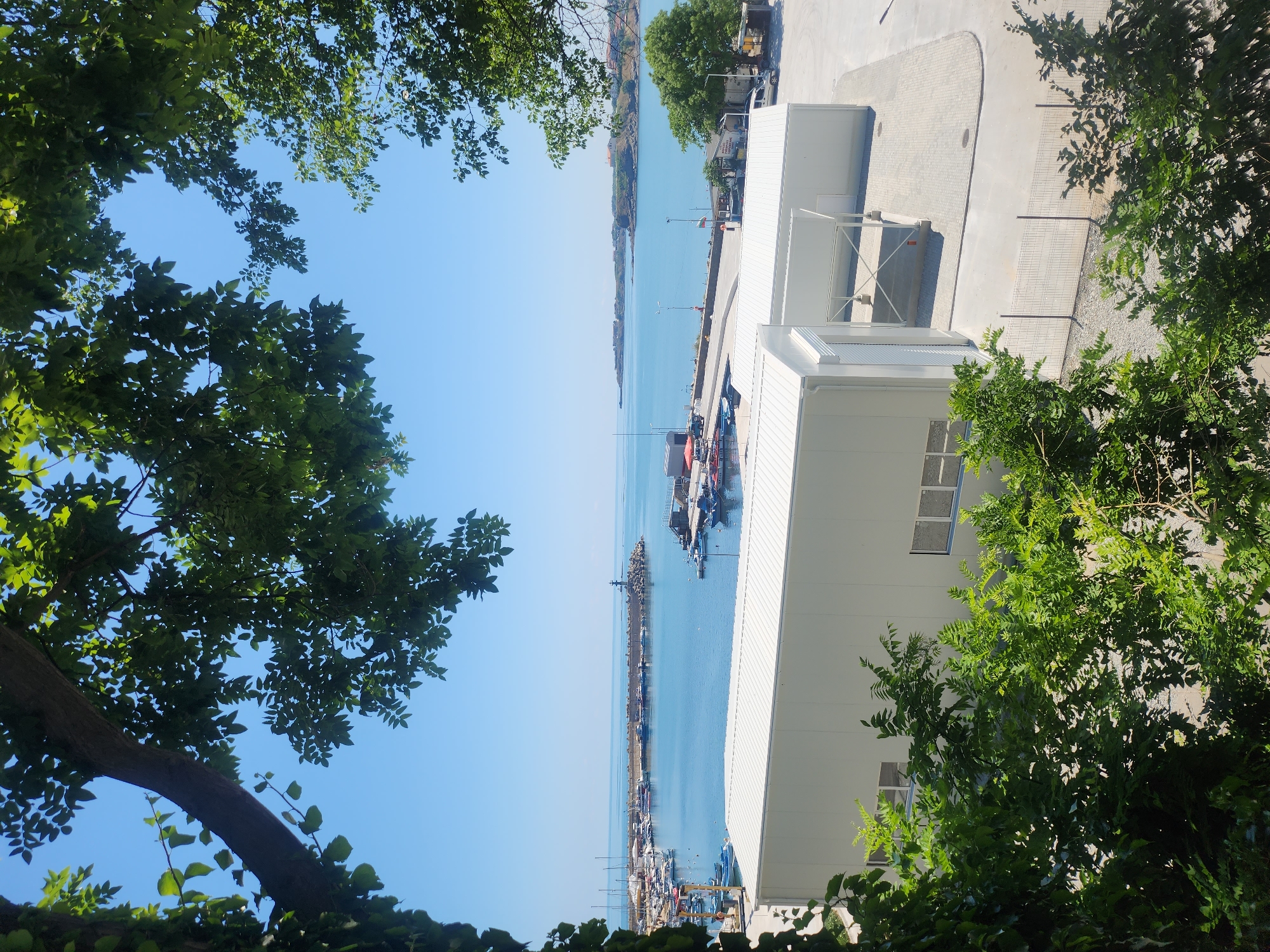 Tsarevo harbor viewed through summer foliage on a clear morning