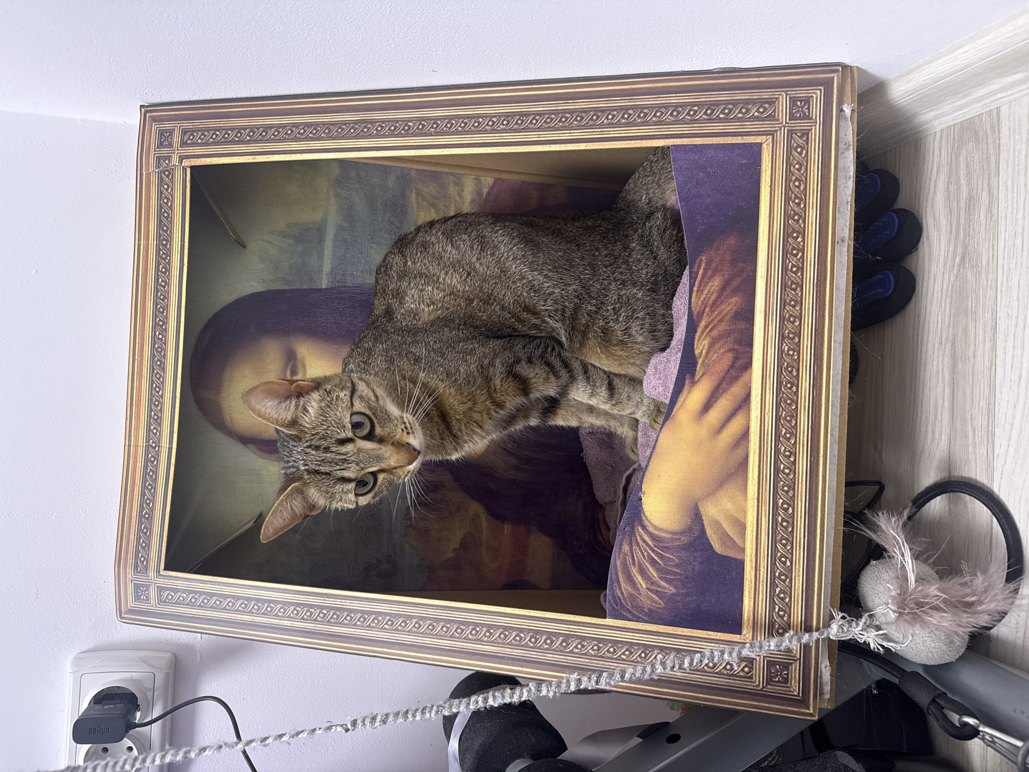 Cat poses as Mona Lisa in Bulgarian home scene