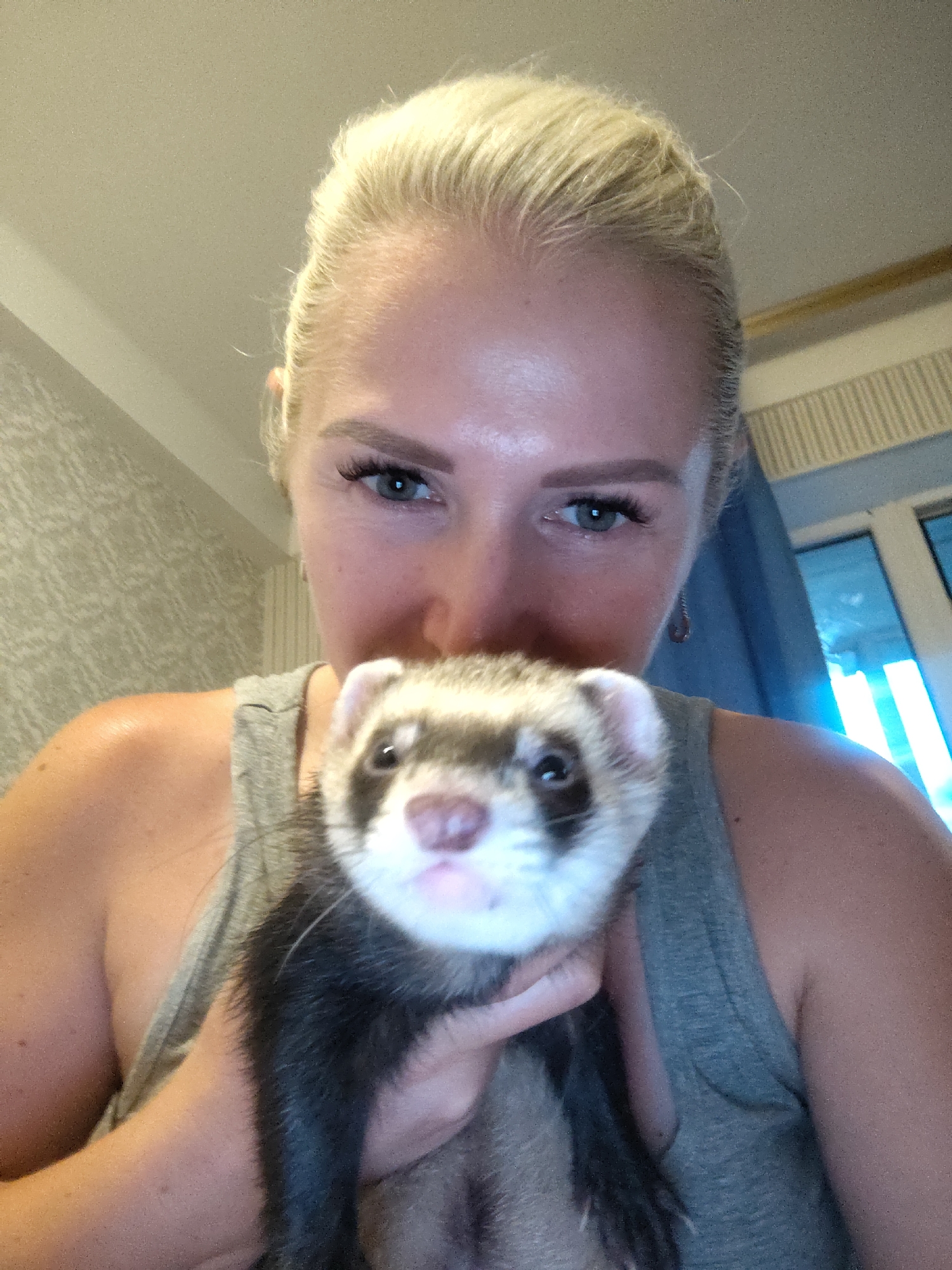 Pet ferrets roaming and playing around a Kyiv apartment