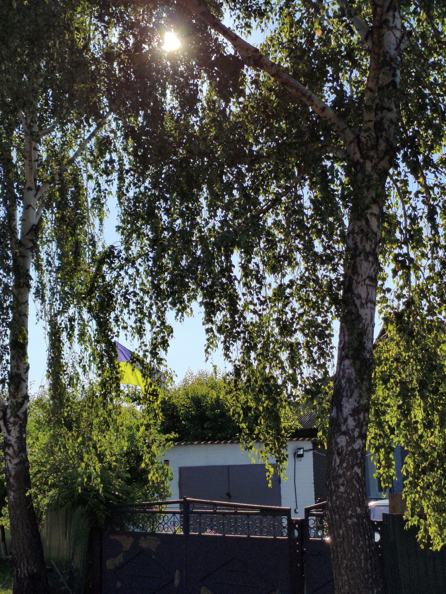 Rural Ustyvytsia: harvest season, stork nests, and village life