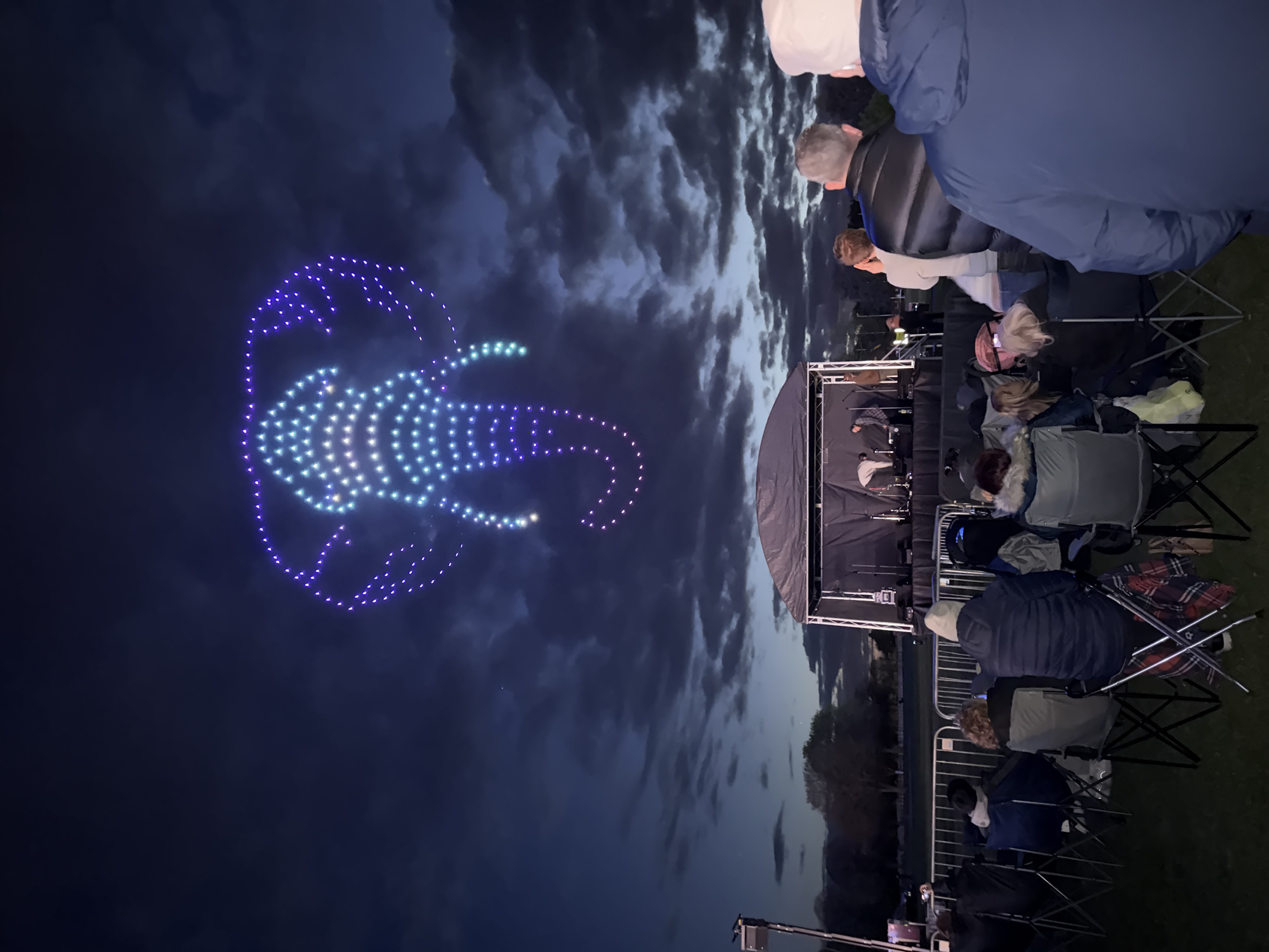 Drone light show displays animal formations over South Norfolk