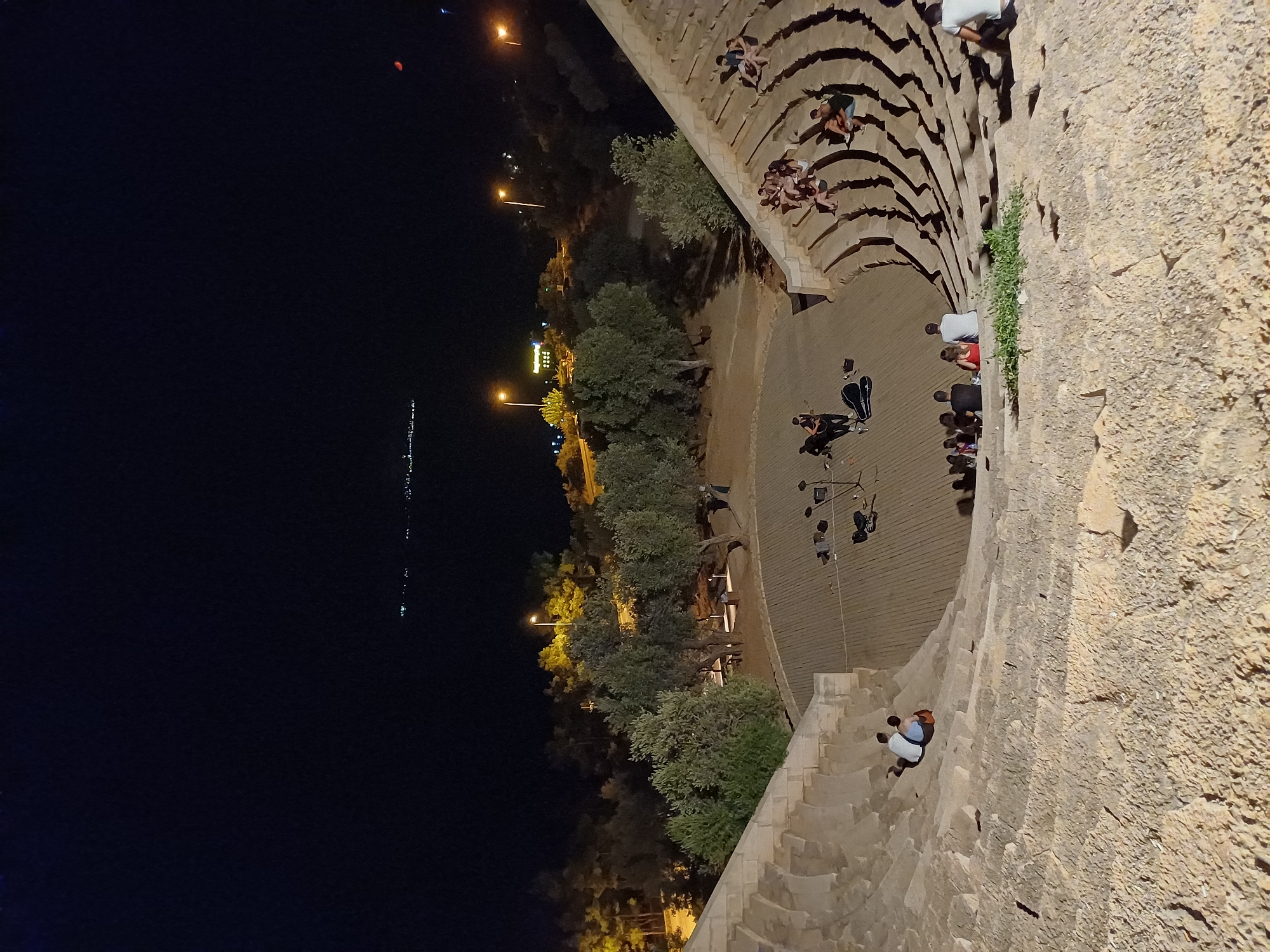 Cats and crowds share a hillside amphitheater night