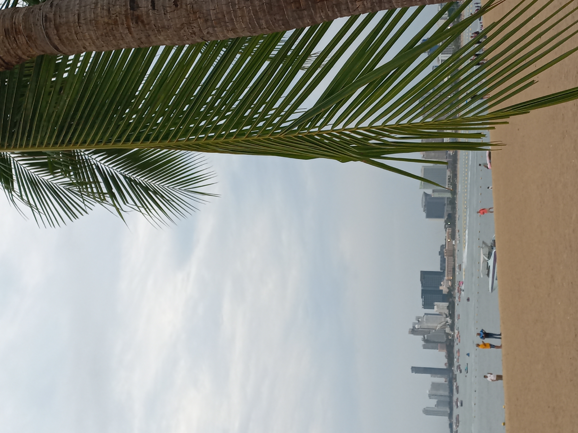 Sunset beach scenes captured through palm trees in Pattaya