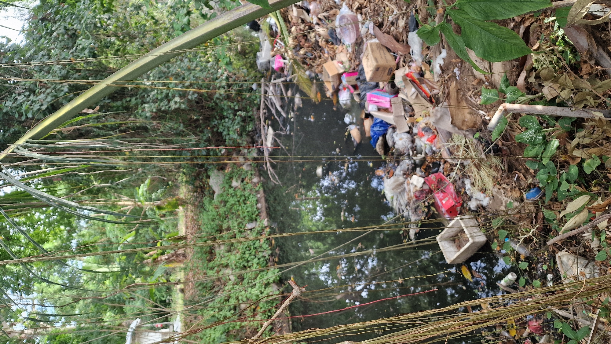 Contrasting water pollution levels documented in Choeng Mon Thailand