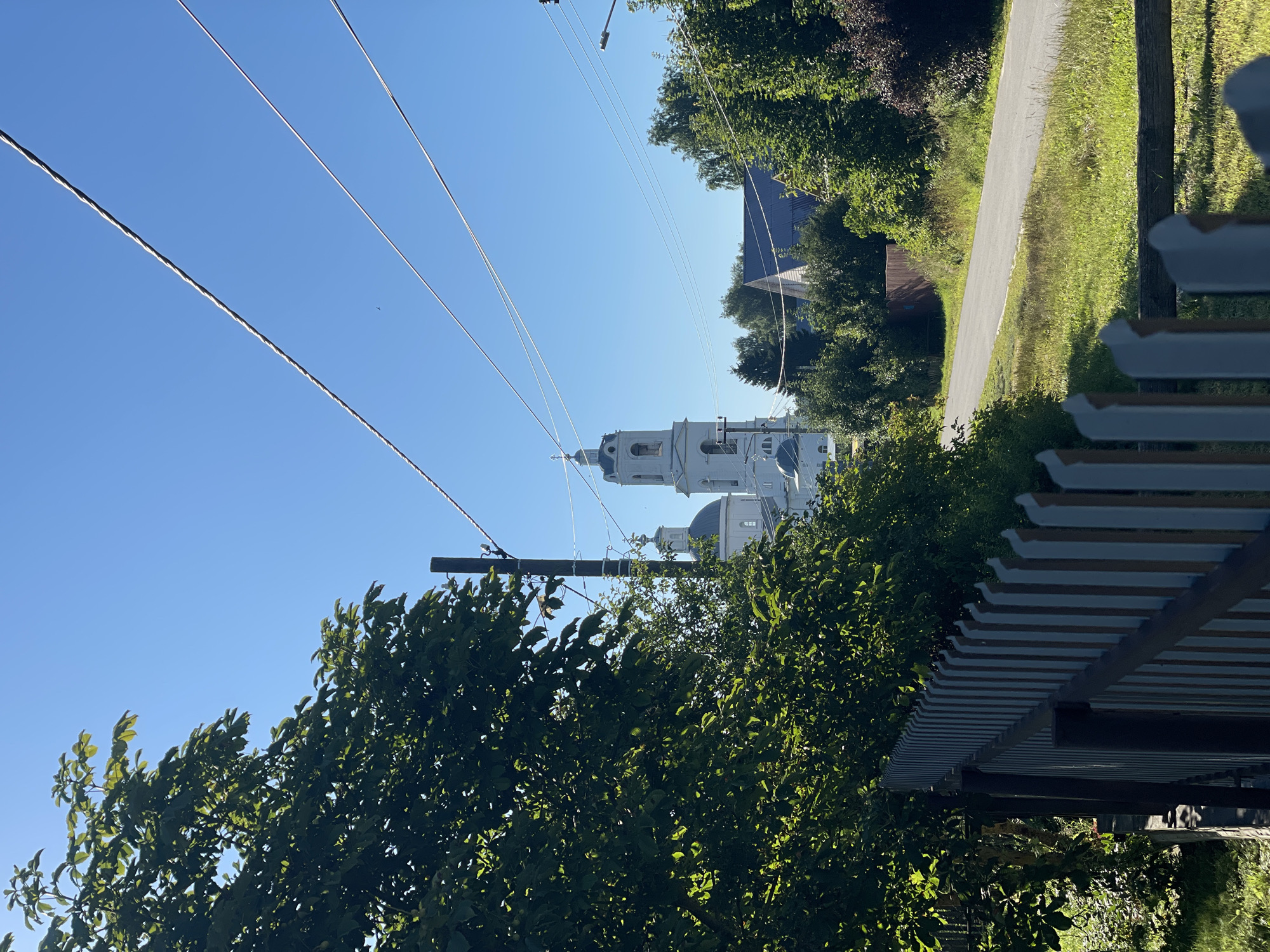 Backyard garden and neighborhood street, summer 2026