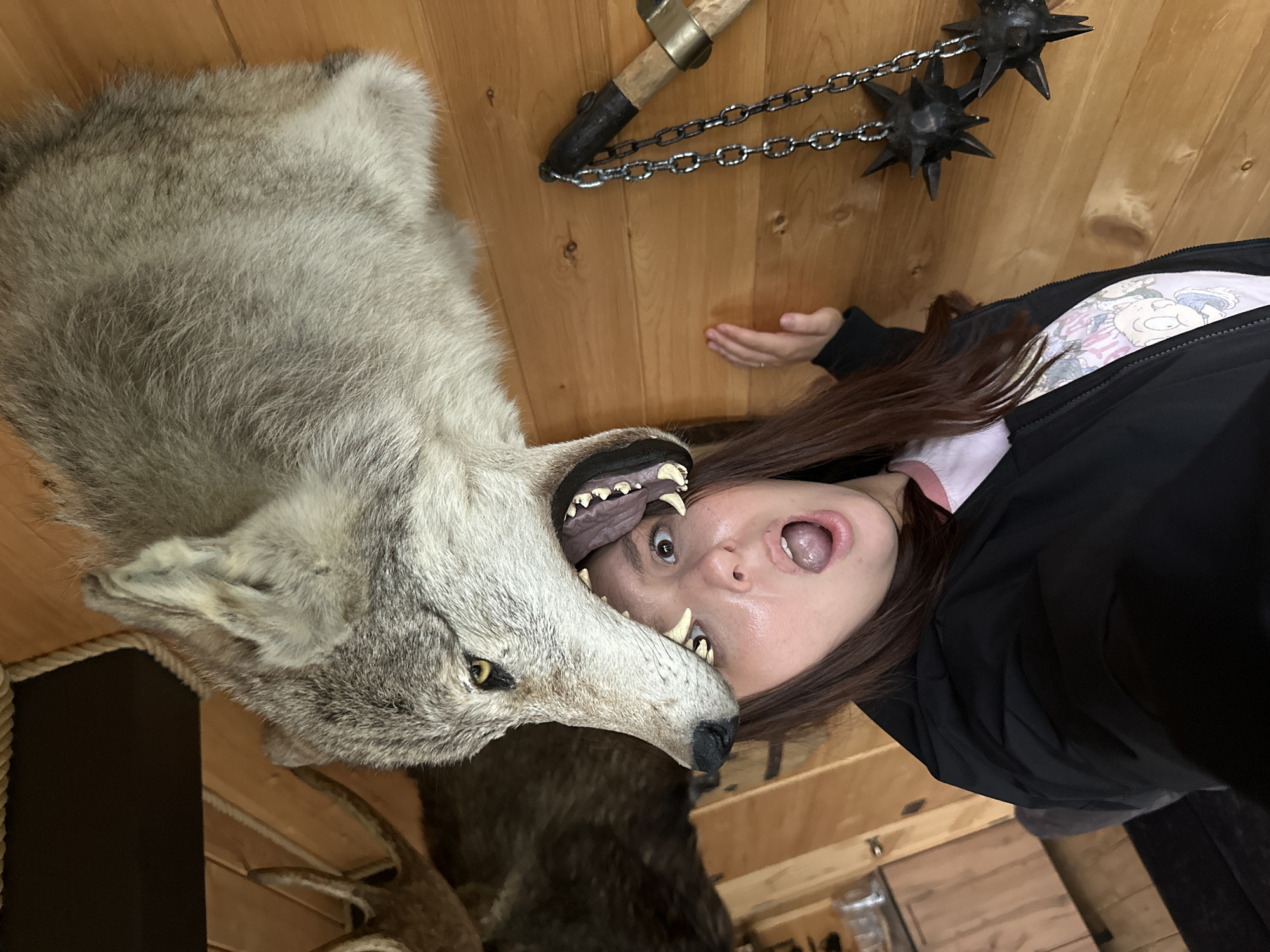 Messing around with taxidermy mounts in a rustic Russian interior