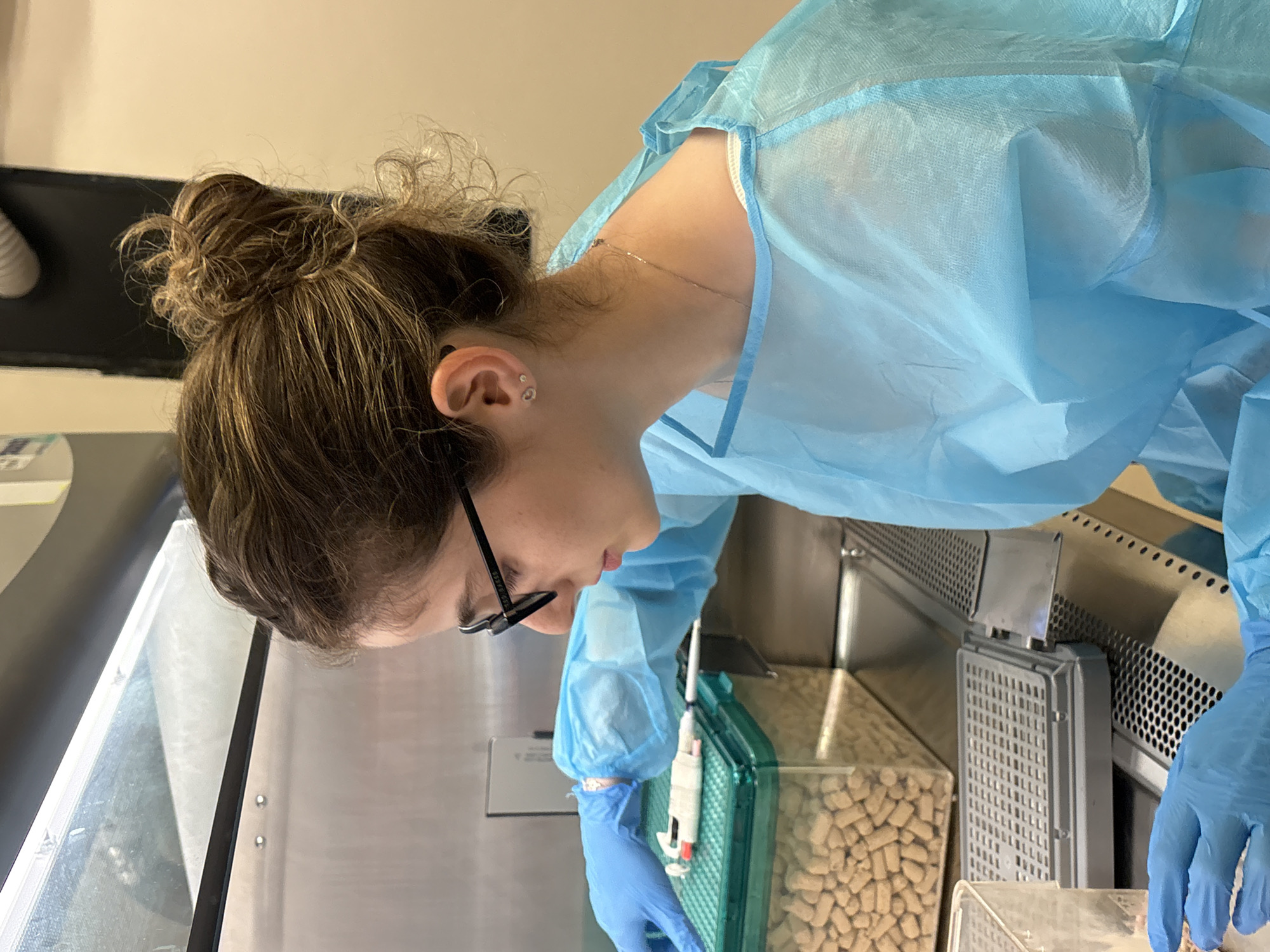 Lab work in Tel Aviv with pellets and protective gear