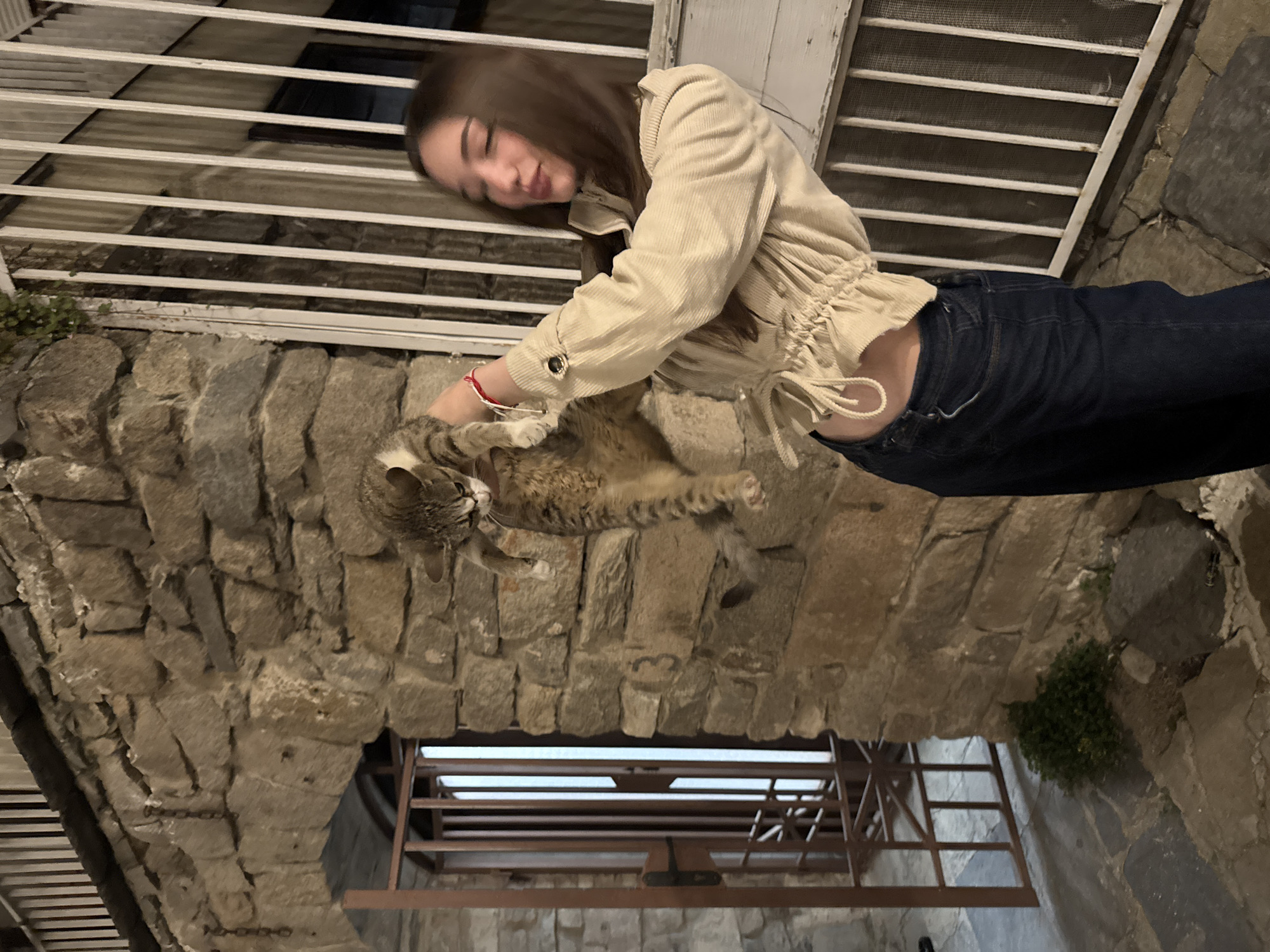 Evening stroll and cat encounter in Plovdiv old town