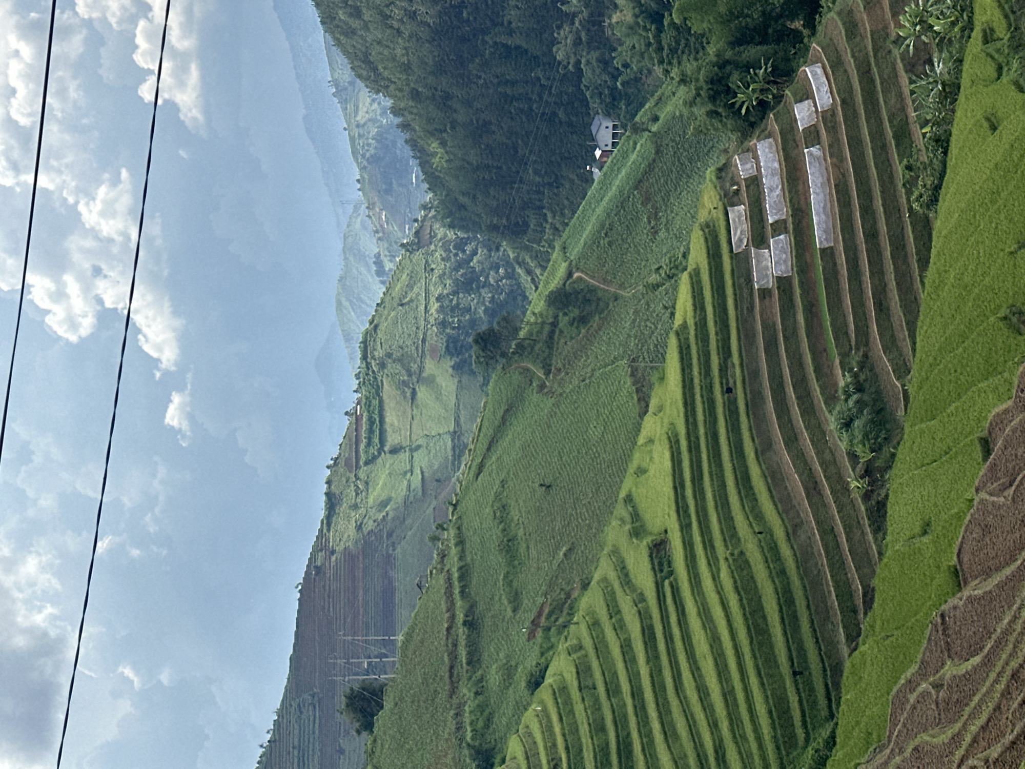 Morning scenes captured at Lao Chai Vietnam terraced rice fields