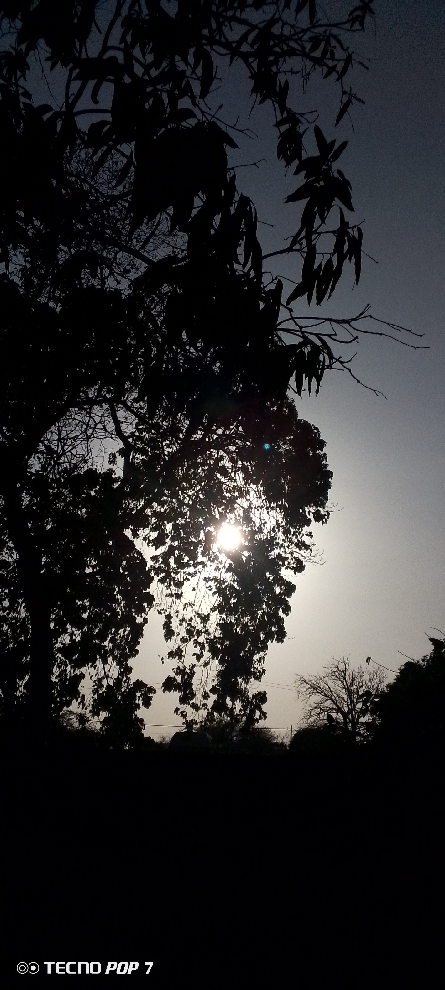 Venezuelan witness documents 40-minute sunset sequence through trees