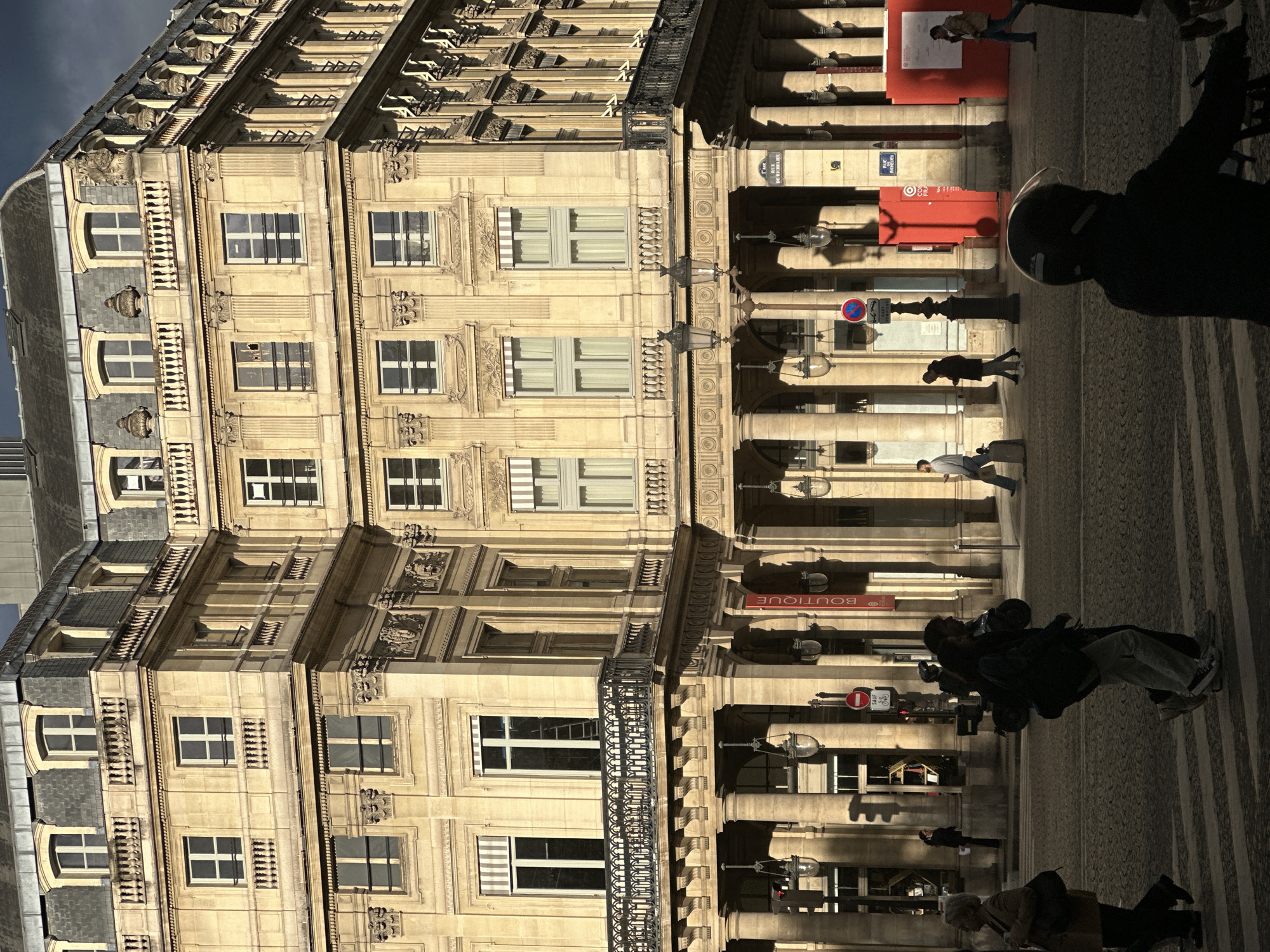 Pigeons forage on cobblestones near ornate Parisian building