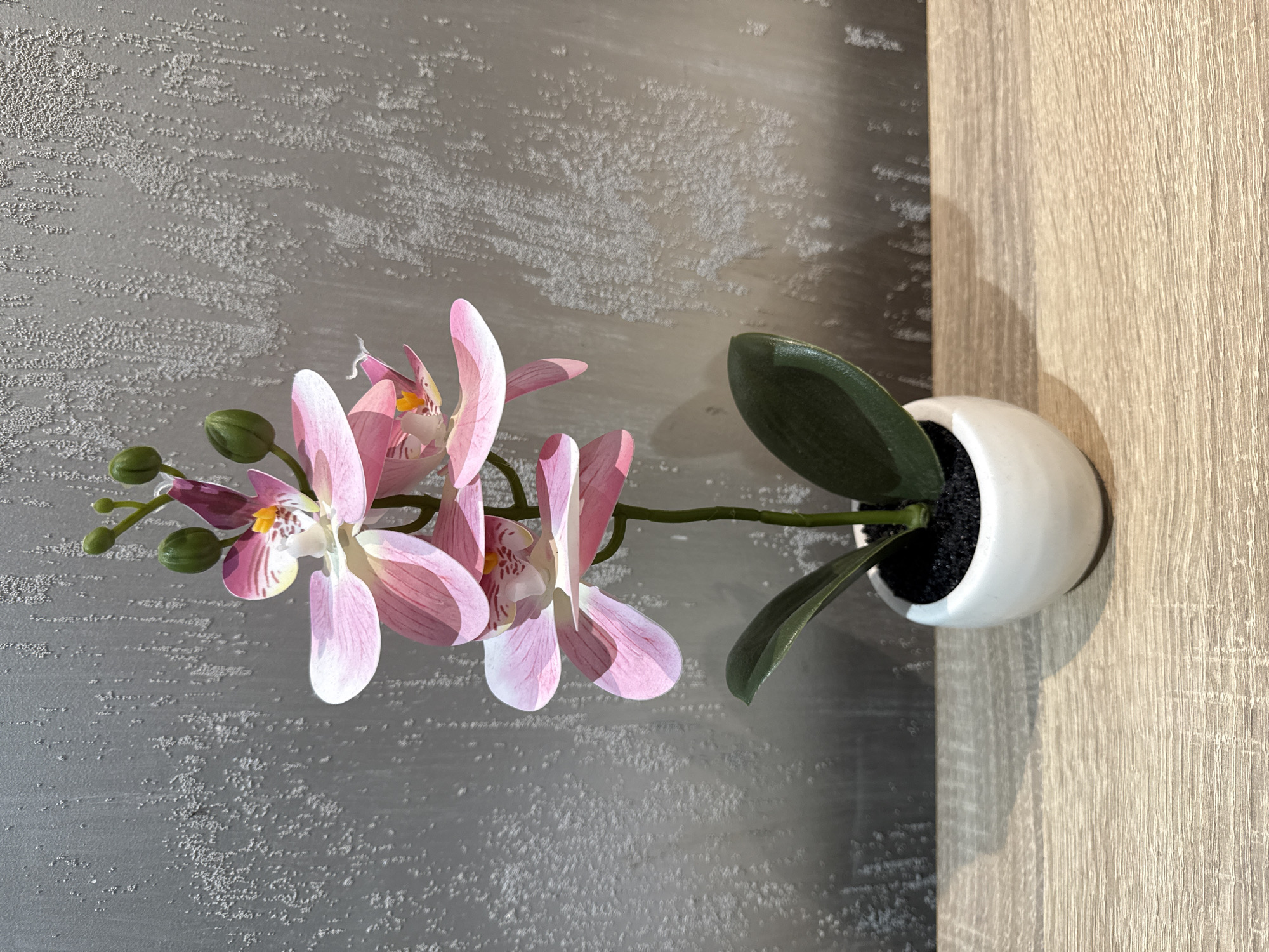 Indoor decor and keepsakes filling a home in Vidin