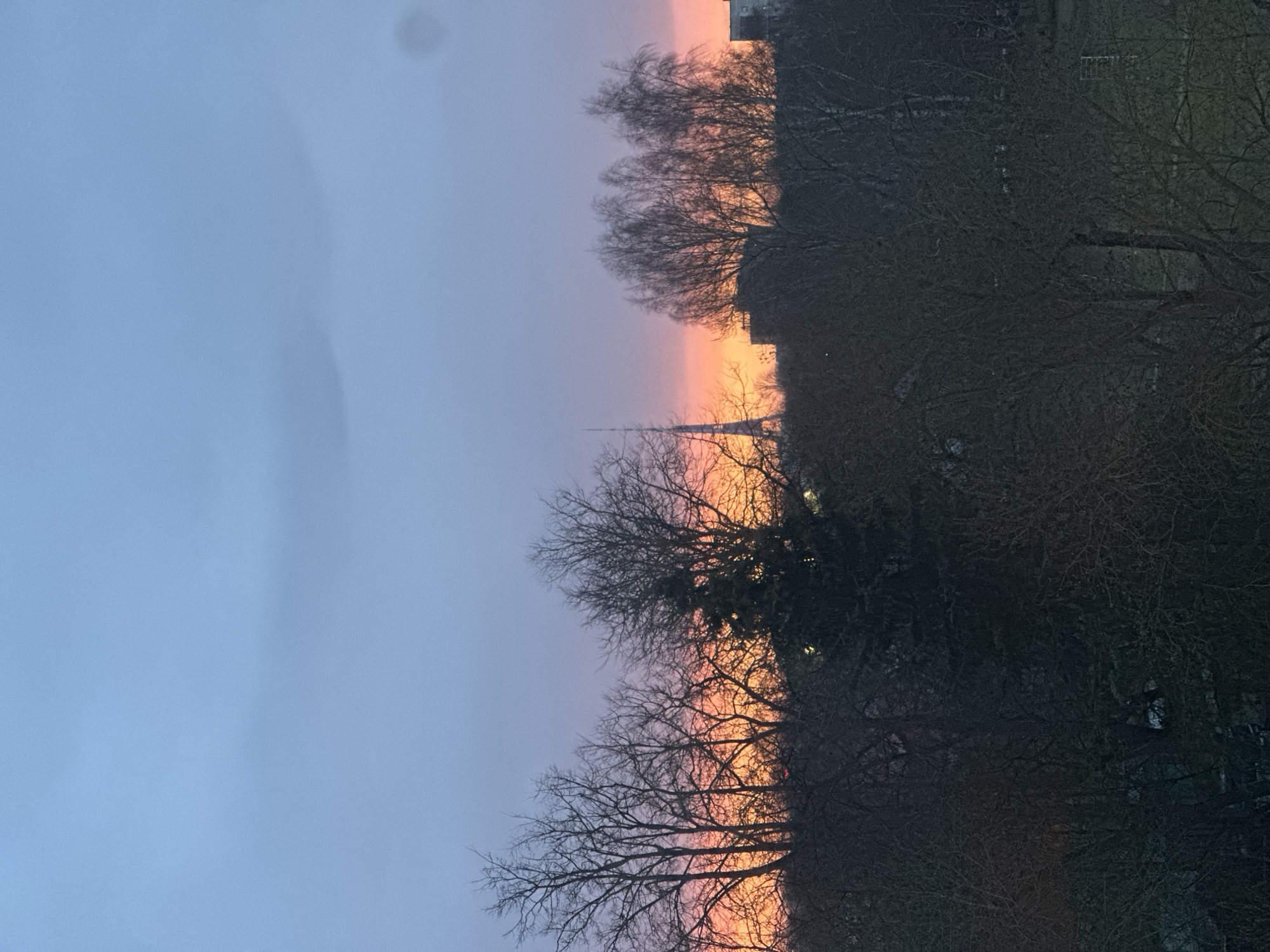 Spring buds emerge amid Riga sunset as winter transitions