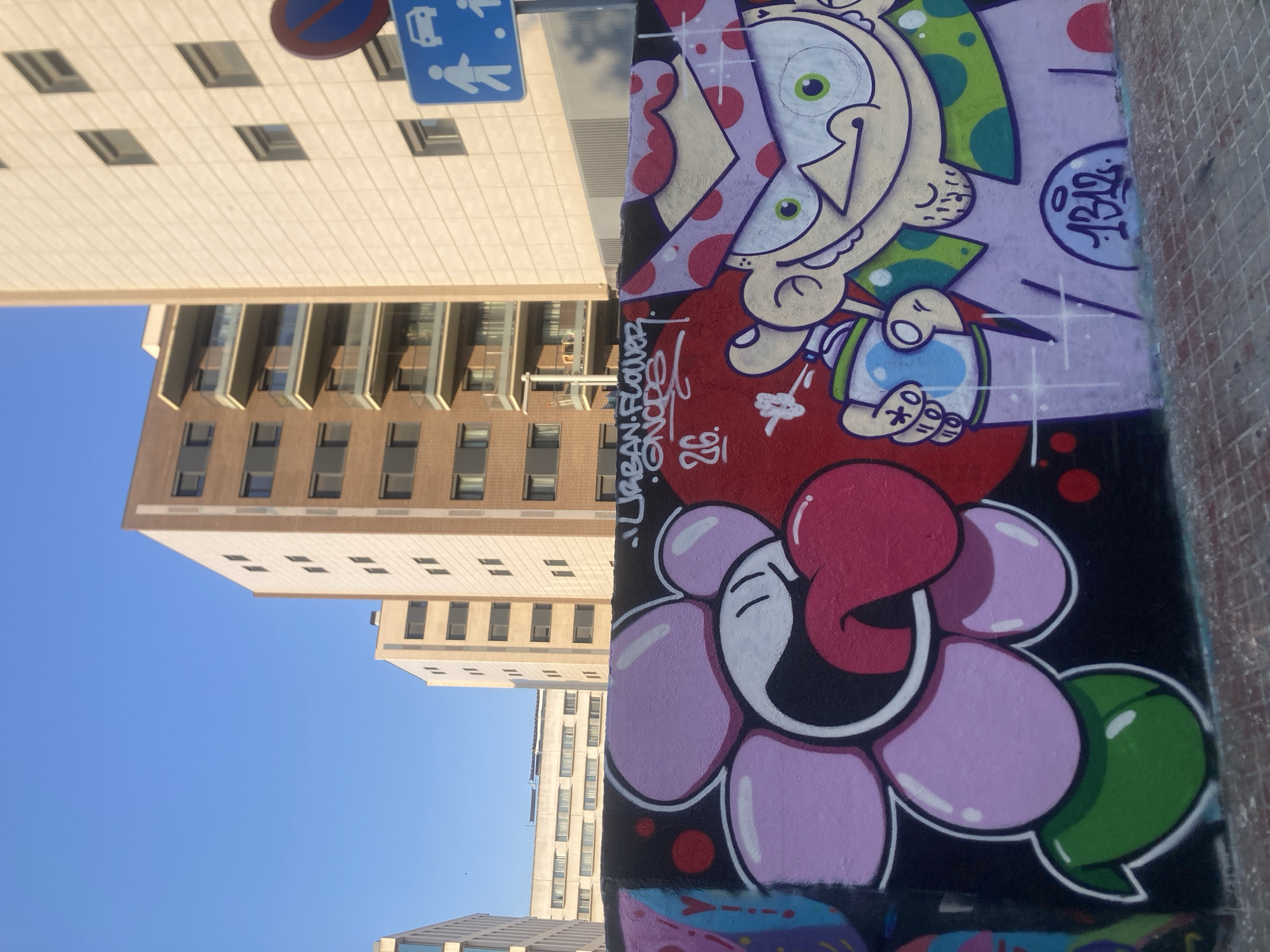 Rollerblading past palms and graffiti in coastal Barcelona